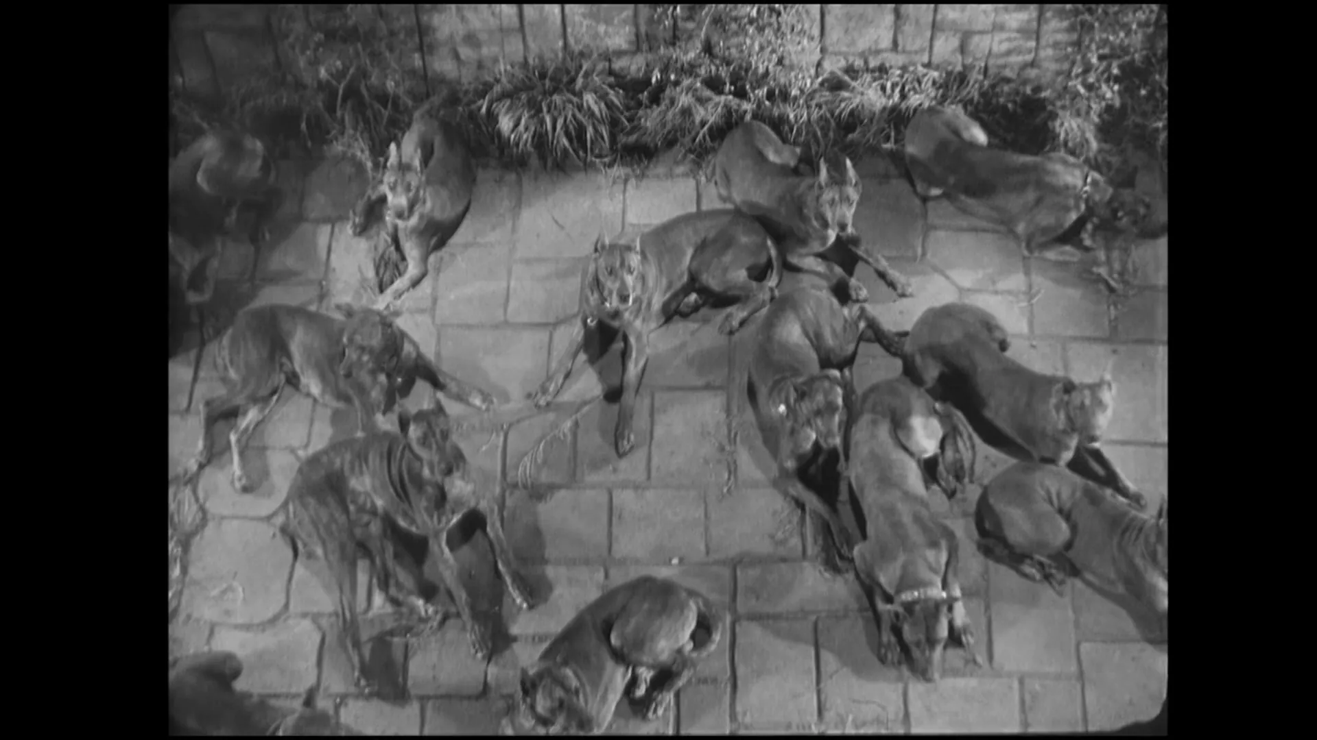 The Most Dangerous Game scene still 5