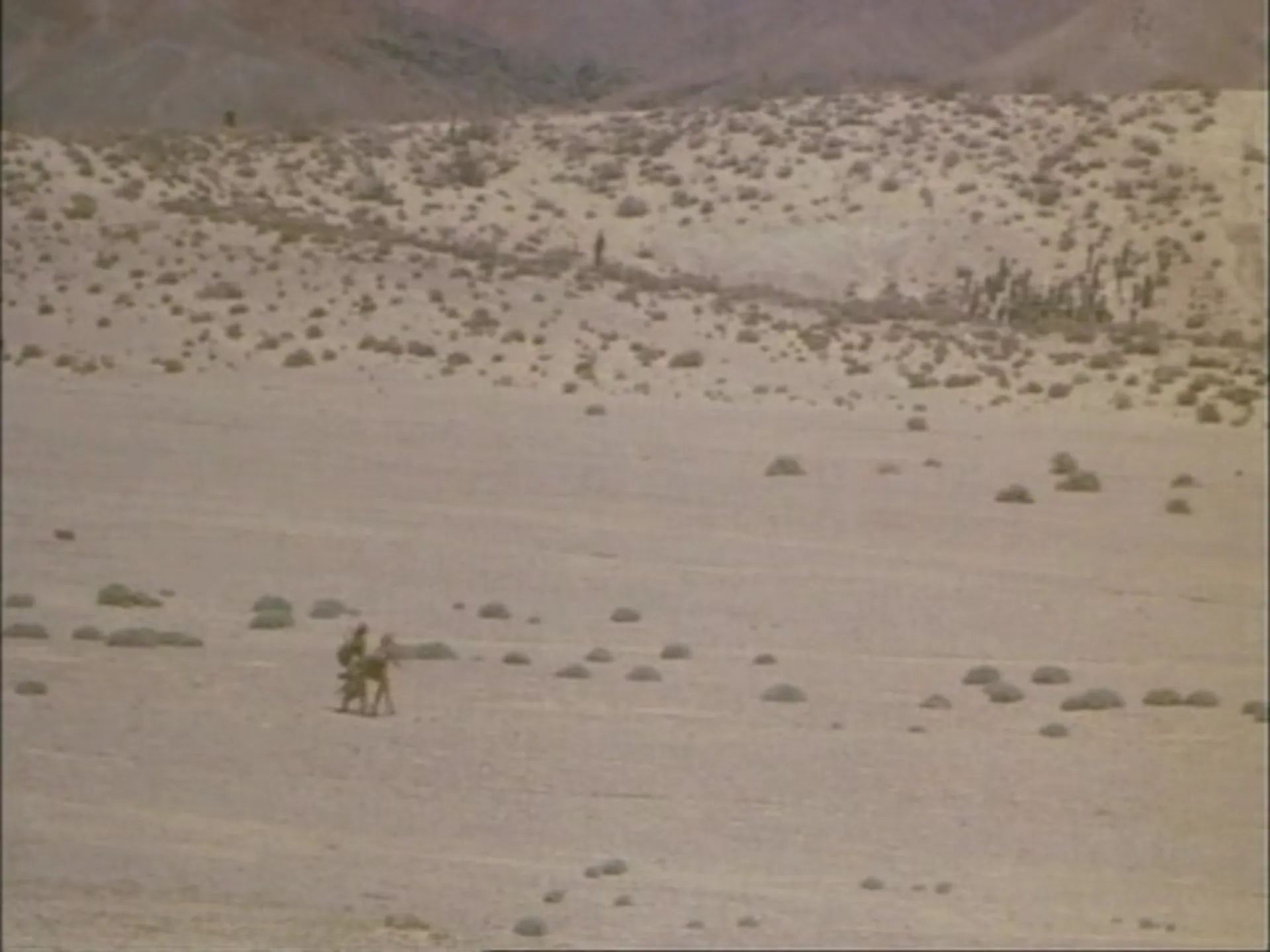 Phoenix the Warrior scene still 4