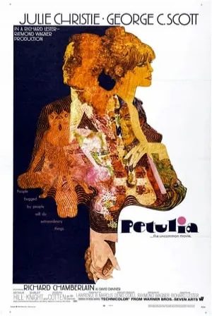Petulia (1968) Movie Poster - SassyFlix