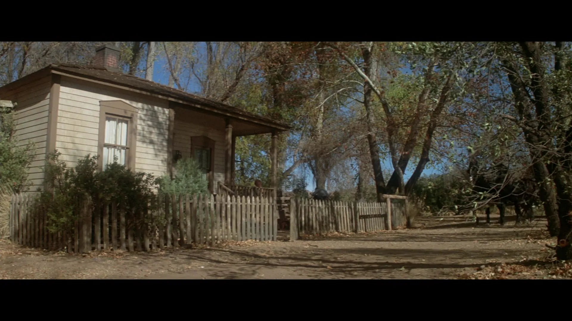 Wild Rovers scene still 1