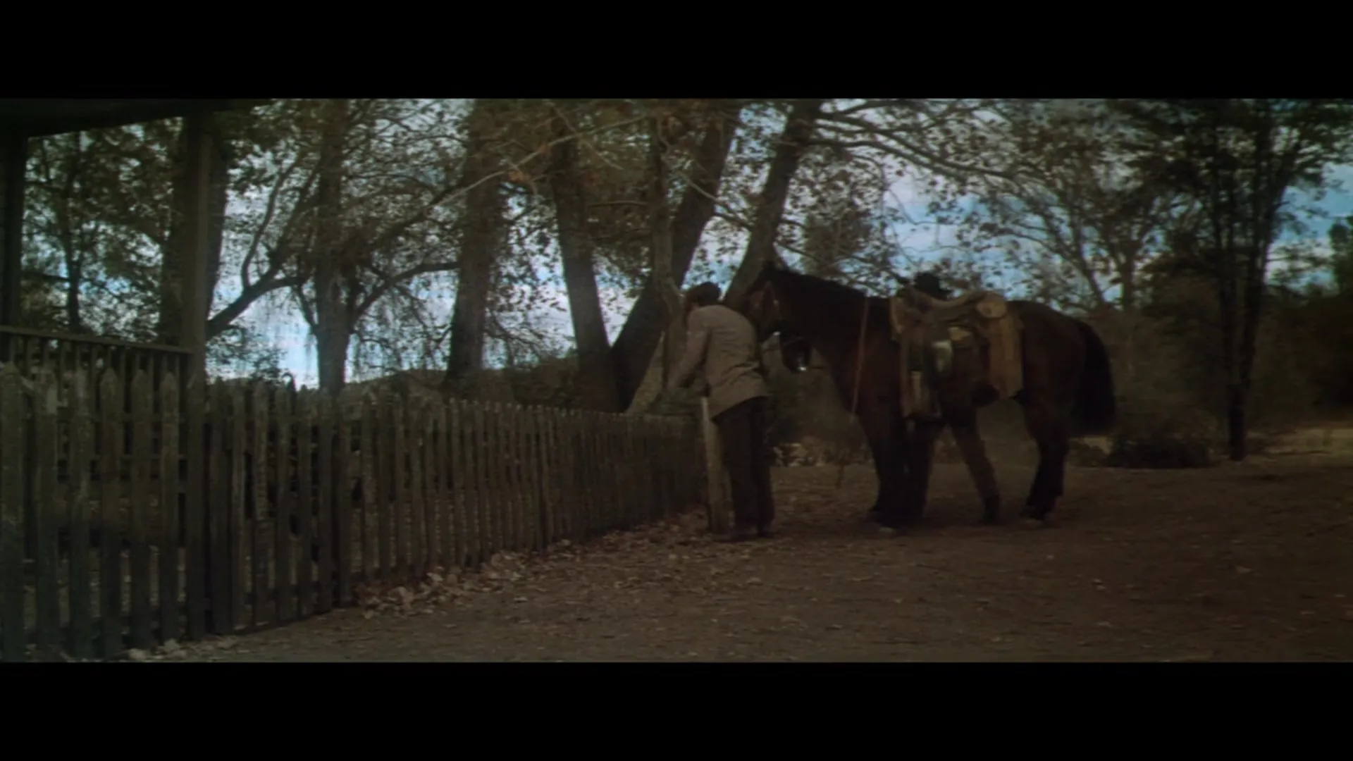 Wild Rovers scene still 3