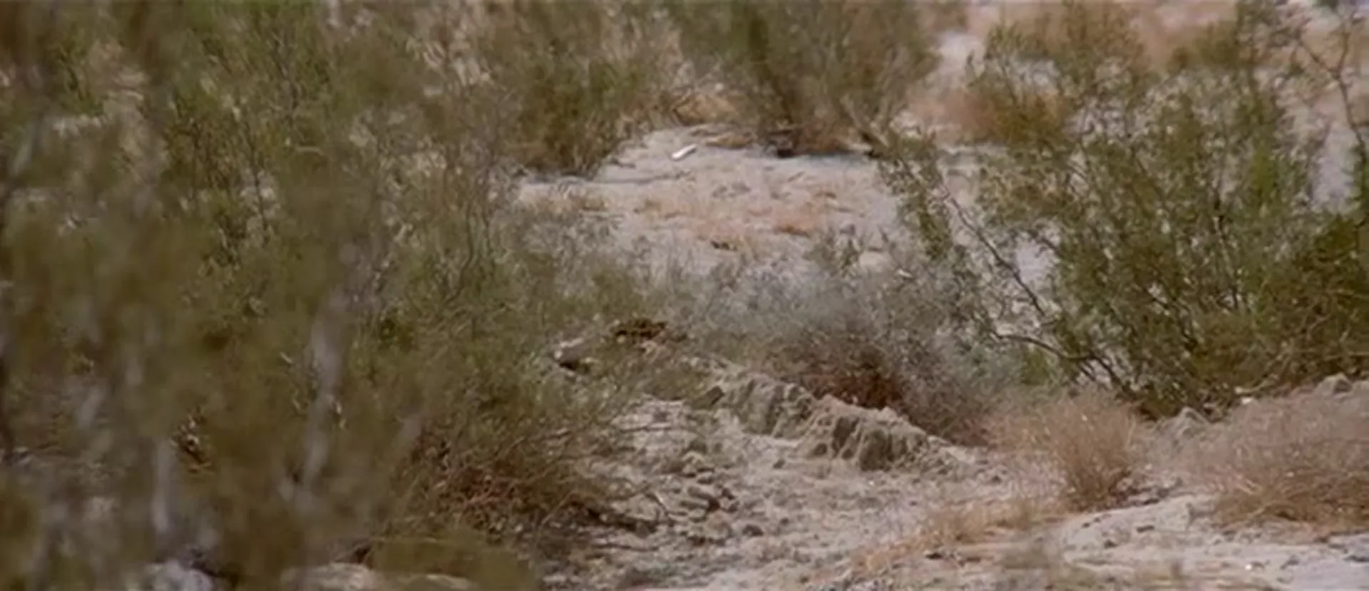 Death Journey scene still 5