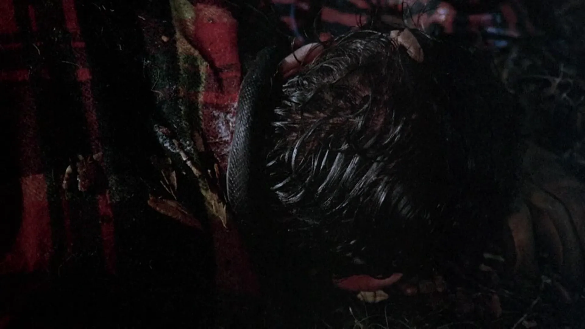 Frogs scene still 3