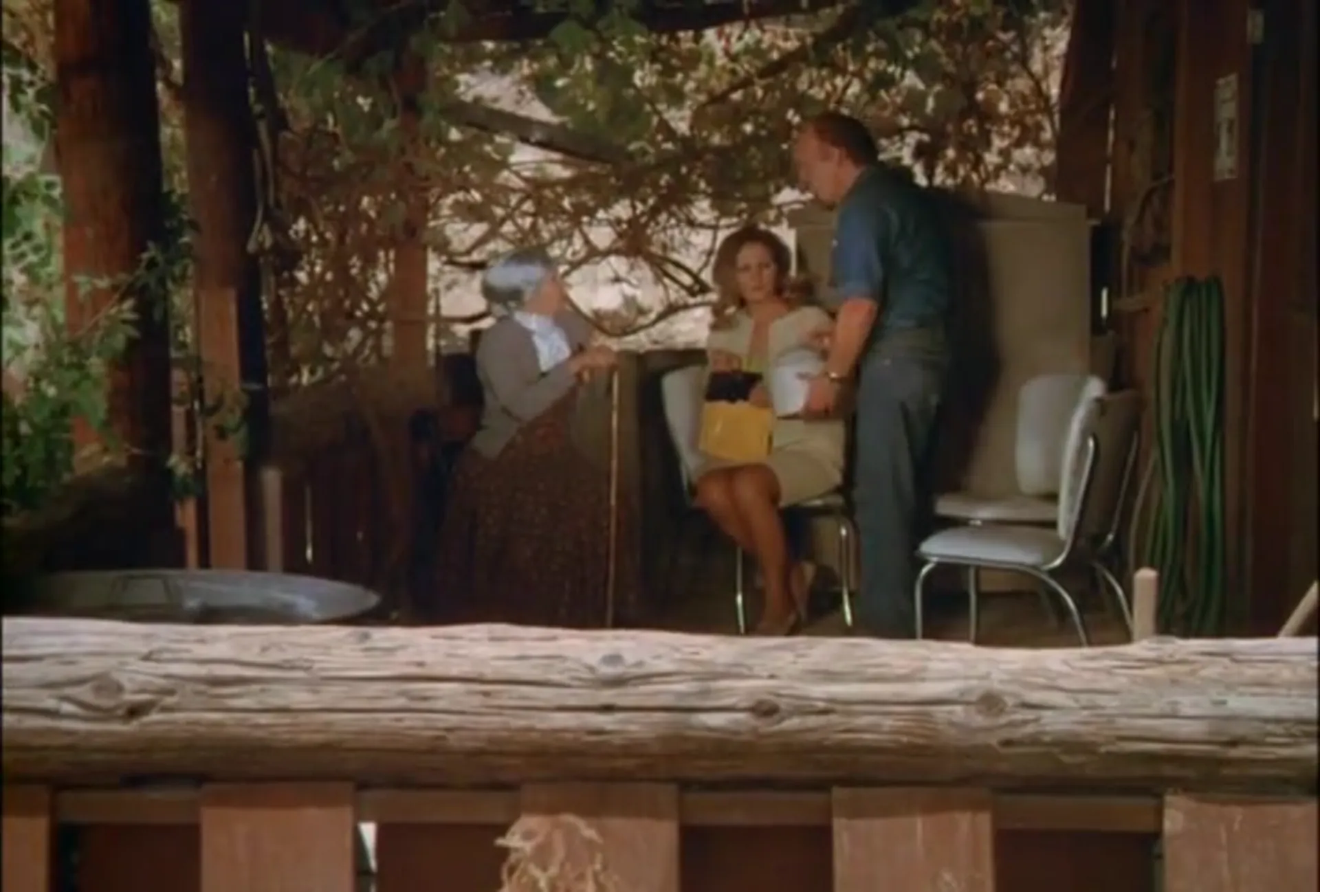 Country Cuzzins scene still 3