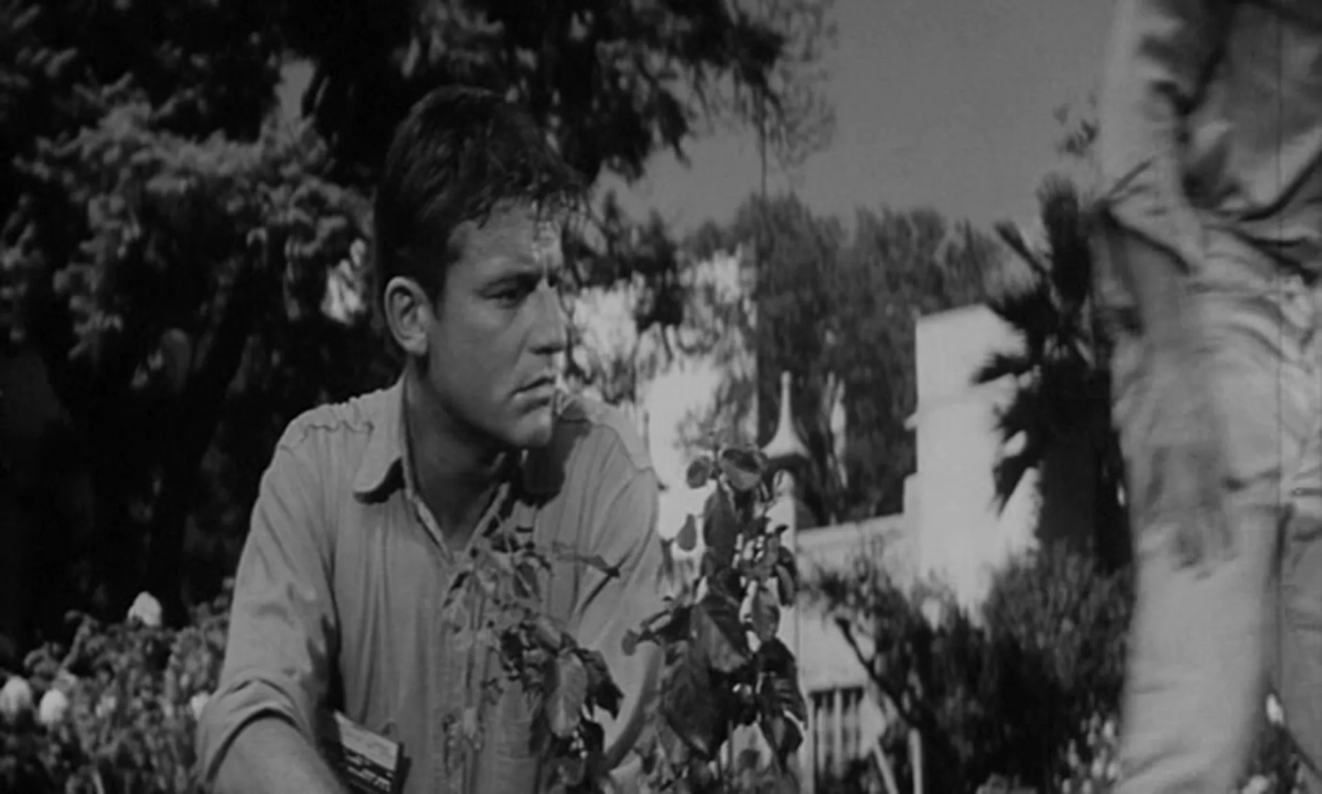 Shock Treatment scene still 4