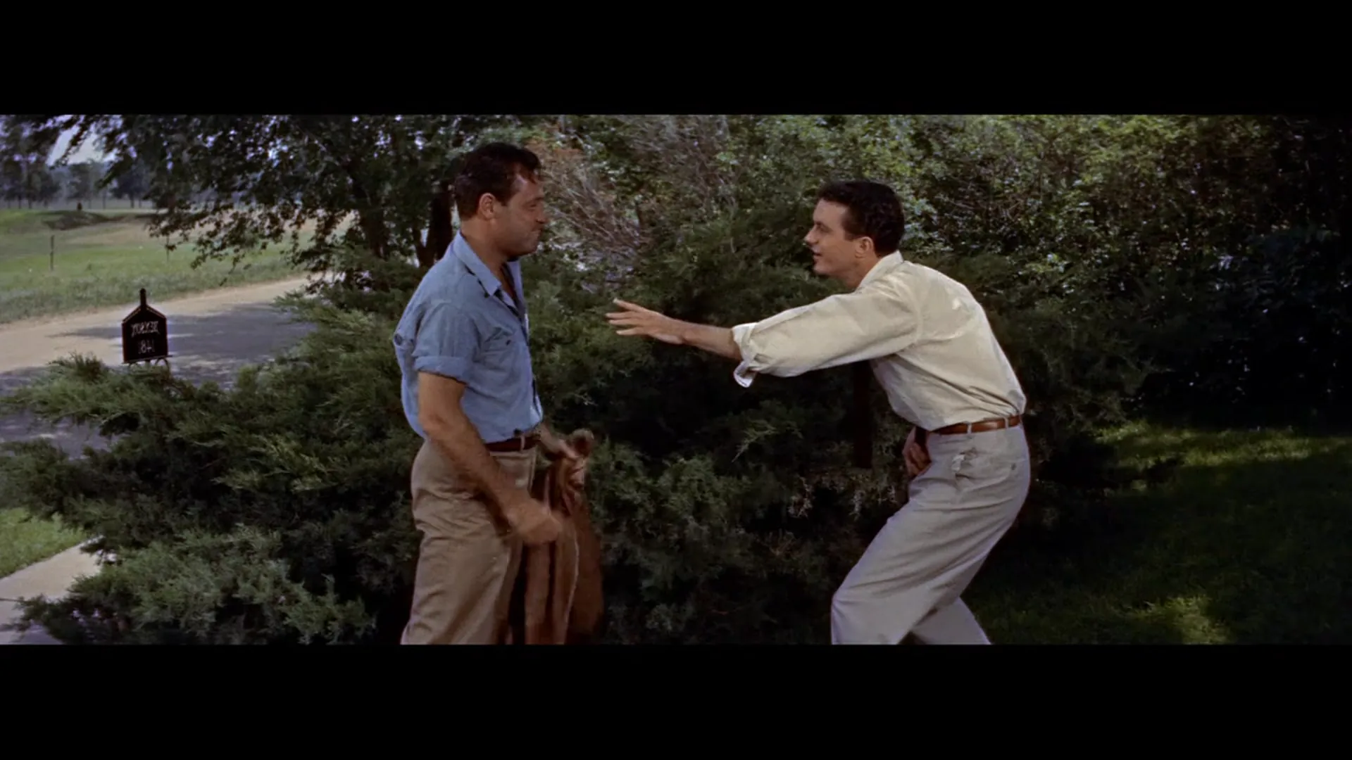 Picnic scene still 1