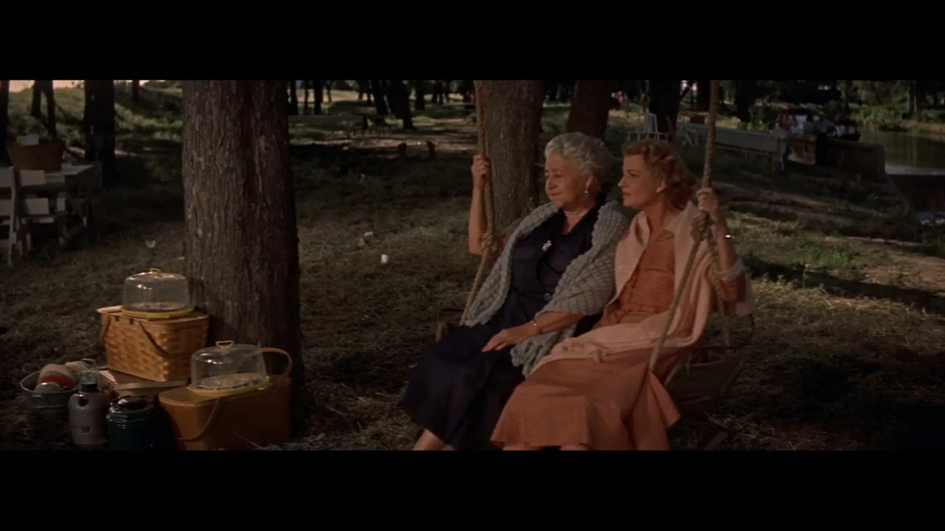 Picnic scene still 6