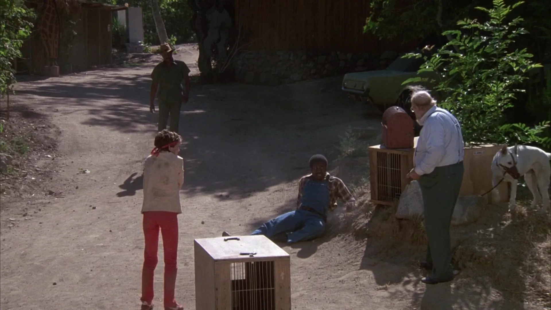 White Dog scene still 5