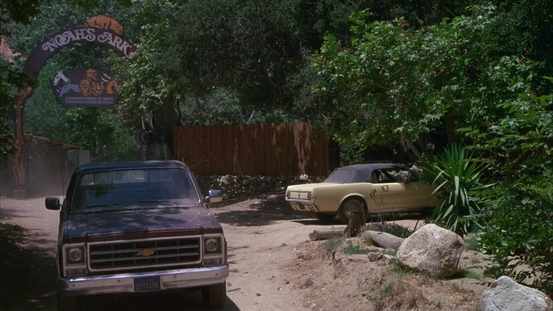 White Dog scene still 4