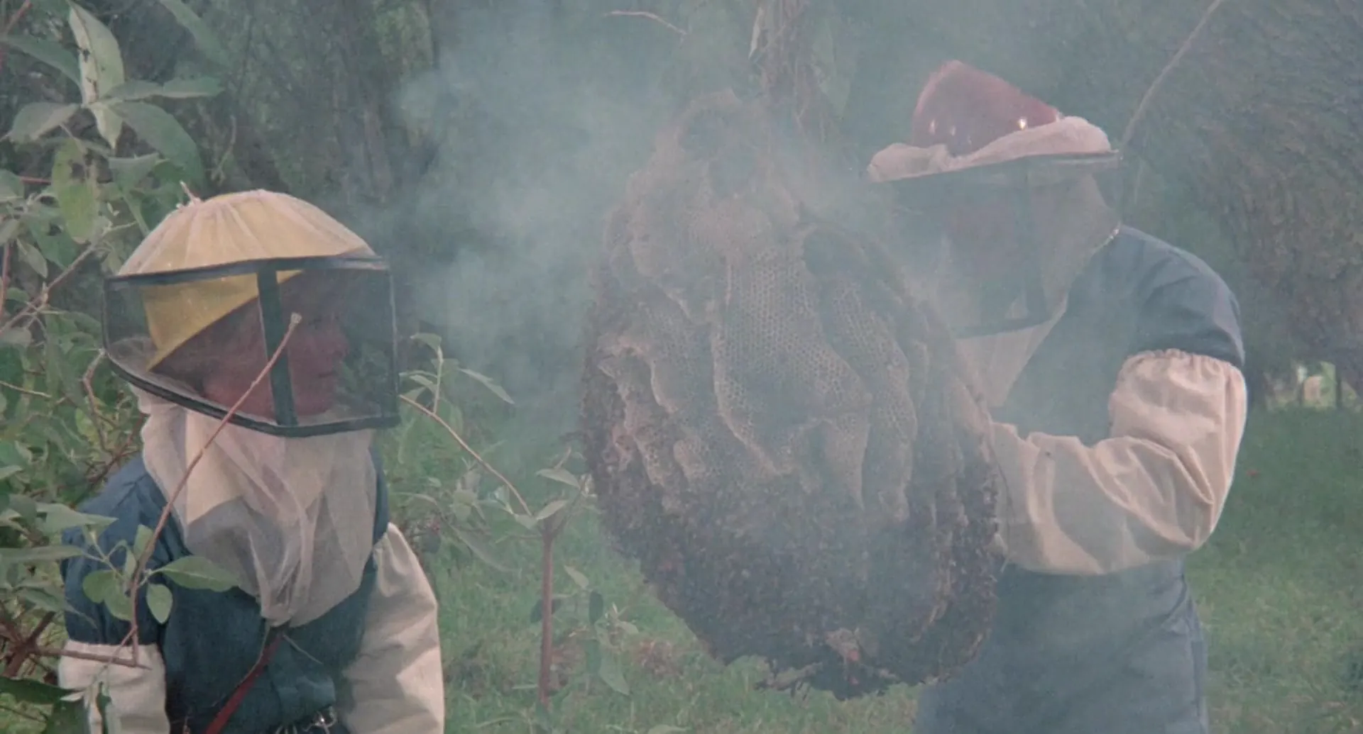 The Bees scene still 6