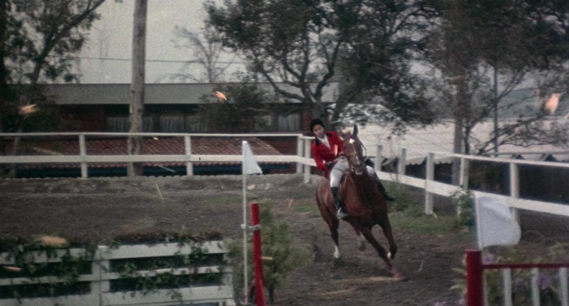 The Bees scene still 5