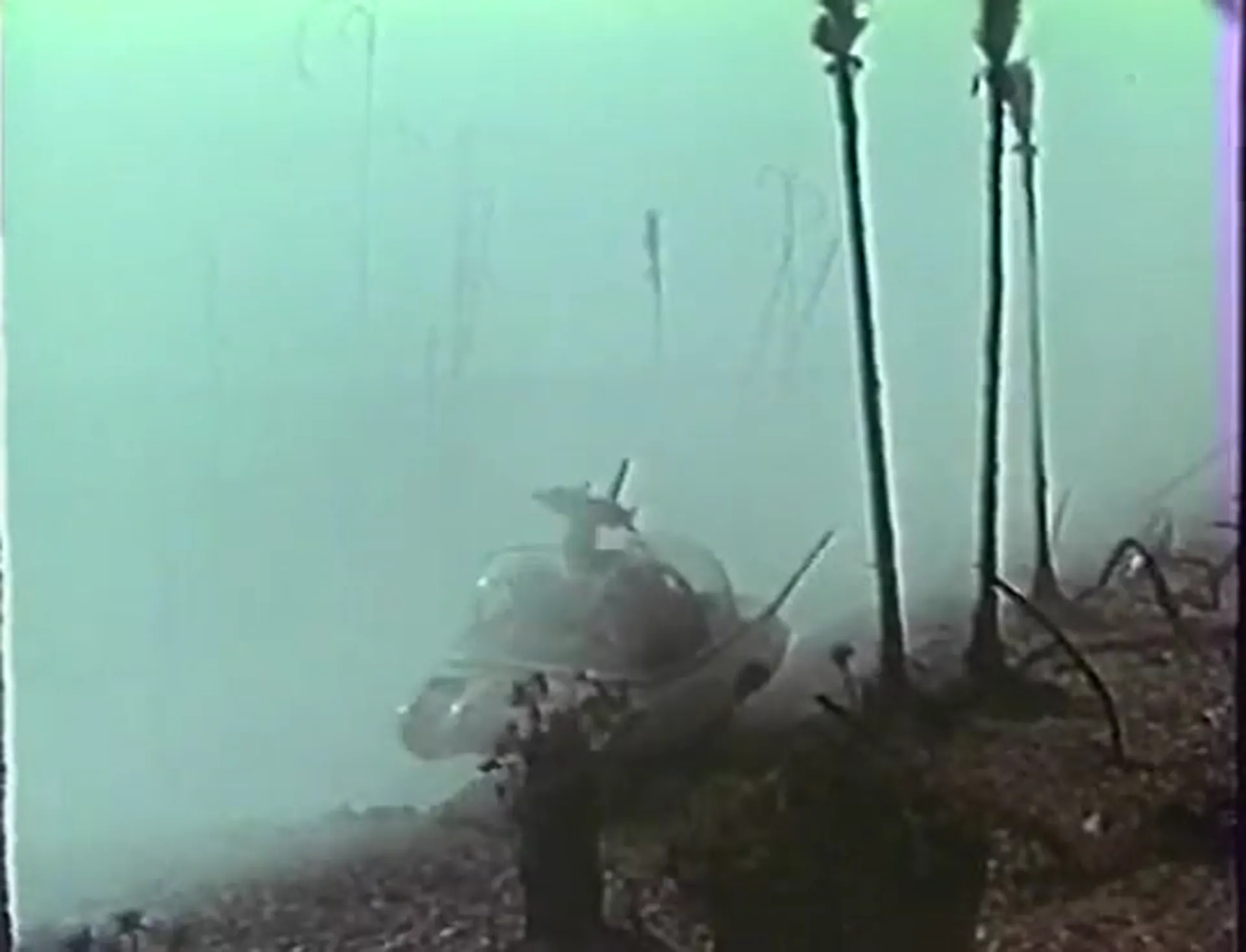 Voyage to the Planet of Prehistoric Women scene still 5