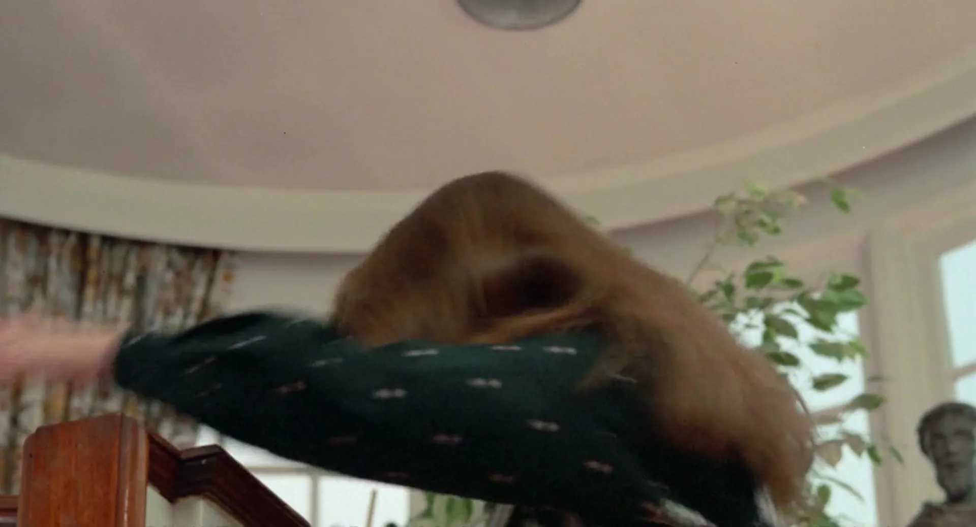 Scream for Help scene still 6