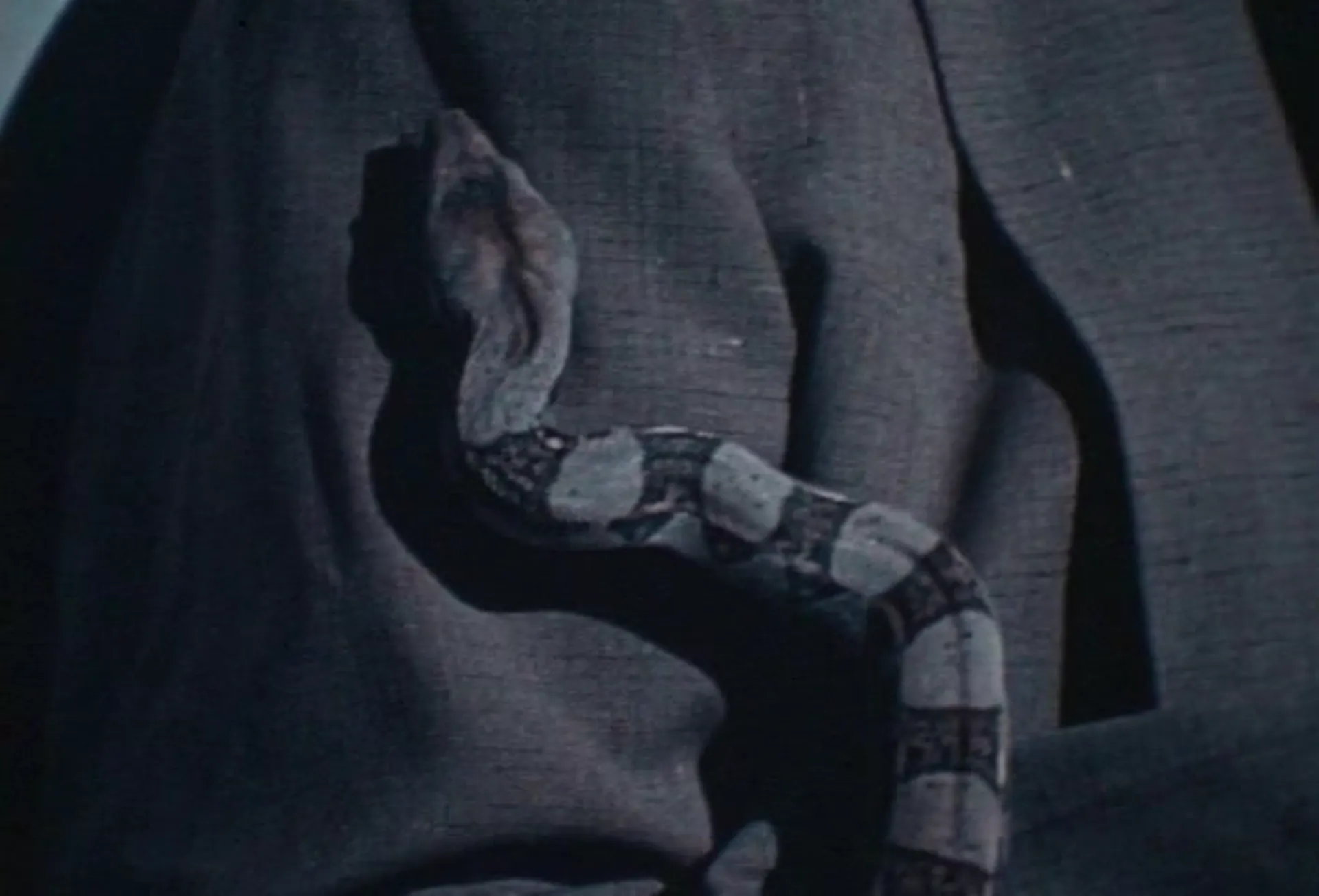 The Brides Wore Blood scene still 2