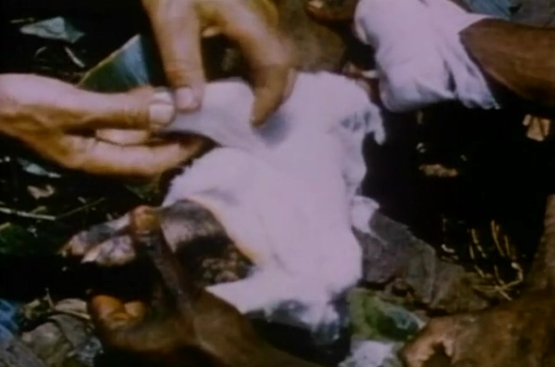 Faces of Death II scene still 6