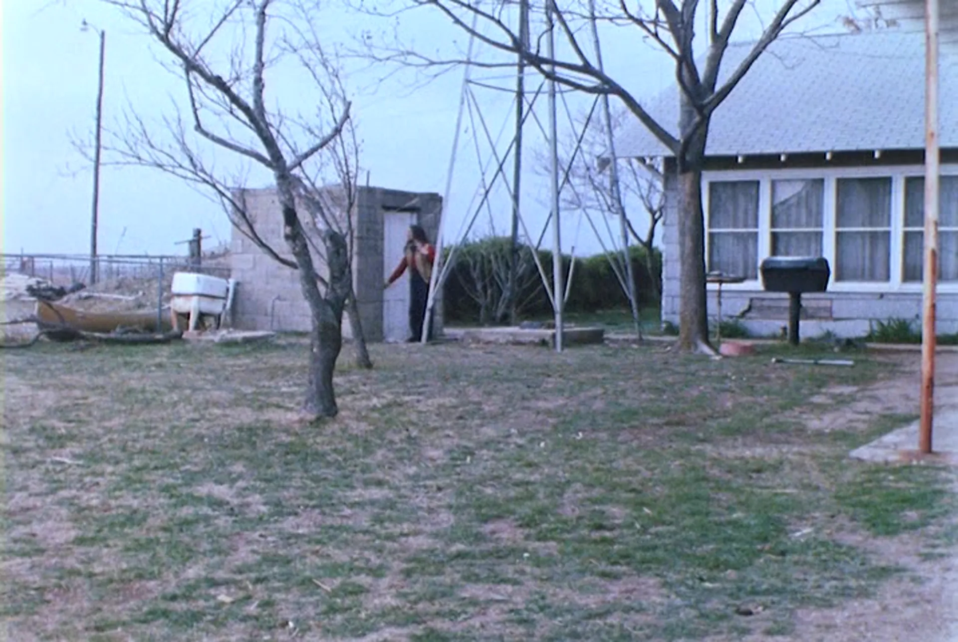 Bloodsuckers from Outer Space scene still 8