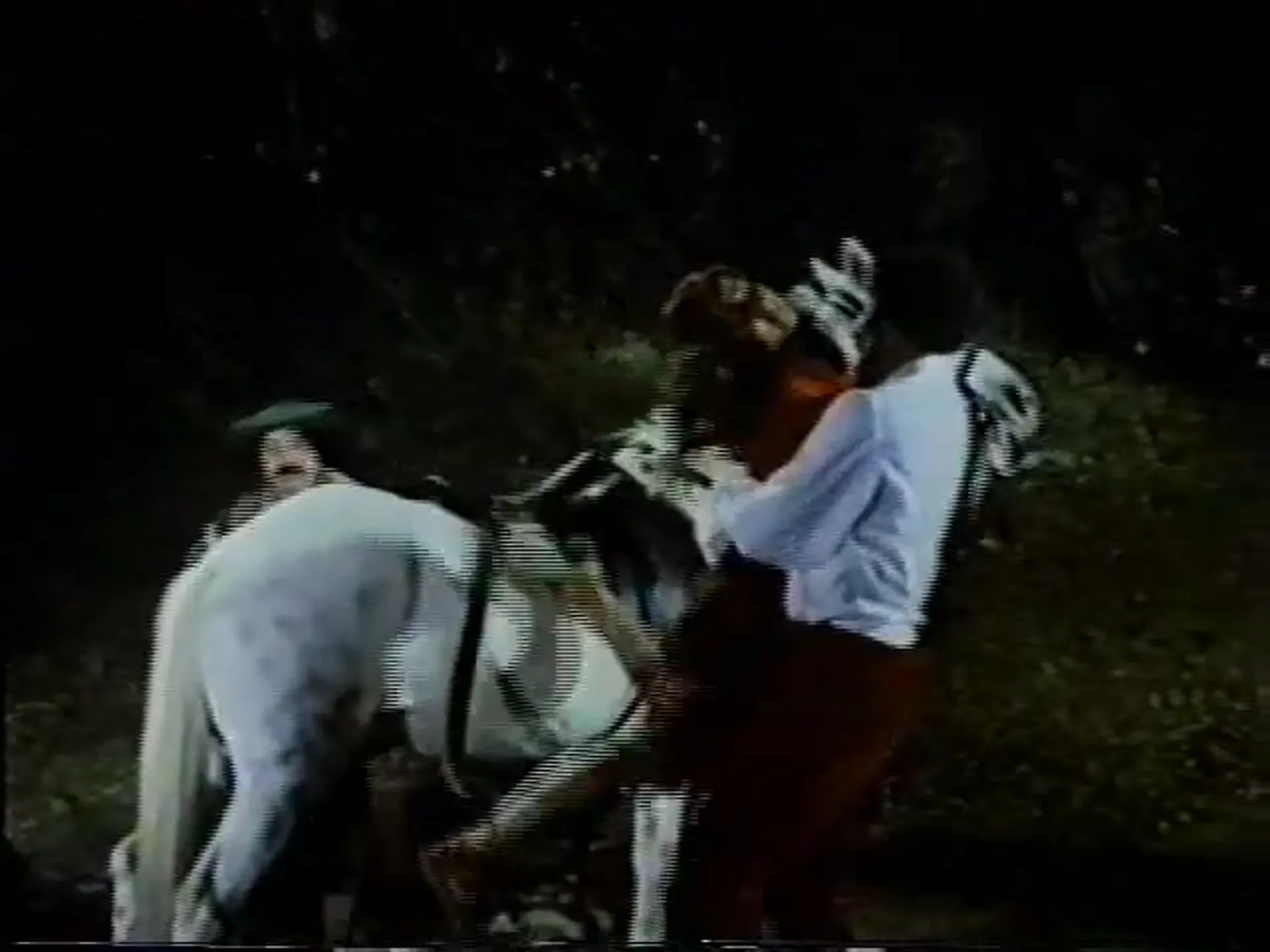The Amorous Adventures of Don Quixote and Sancho Panza scene still 4