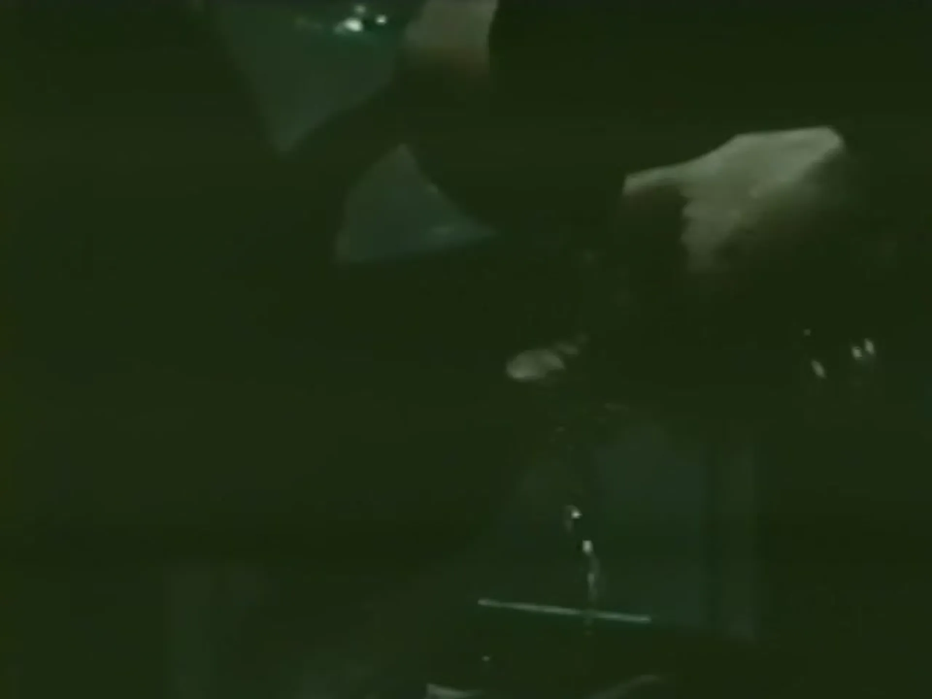 The Hunted scene still 10