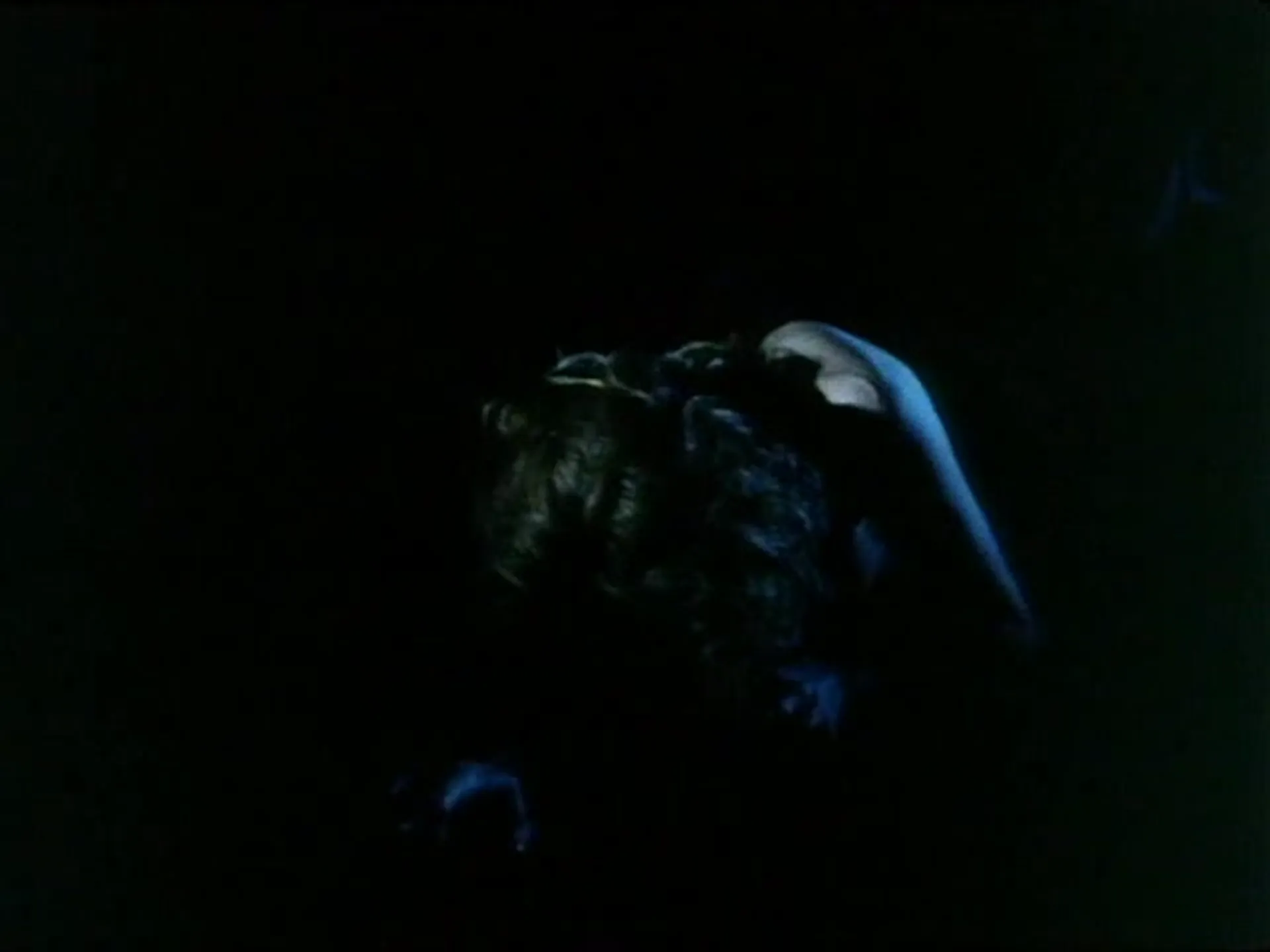 Visions of Ecstasy scene still 6