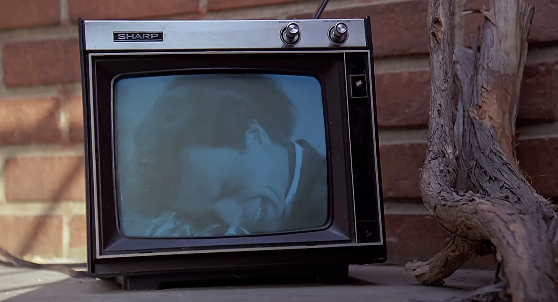 Cat People scene still 4