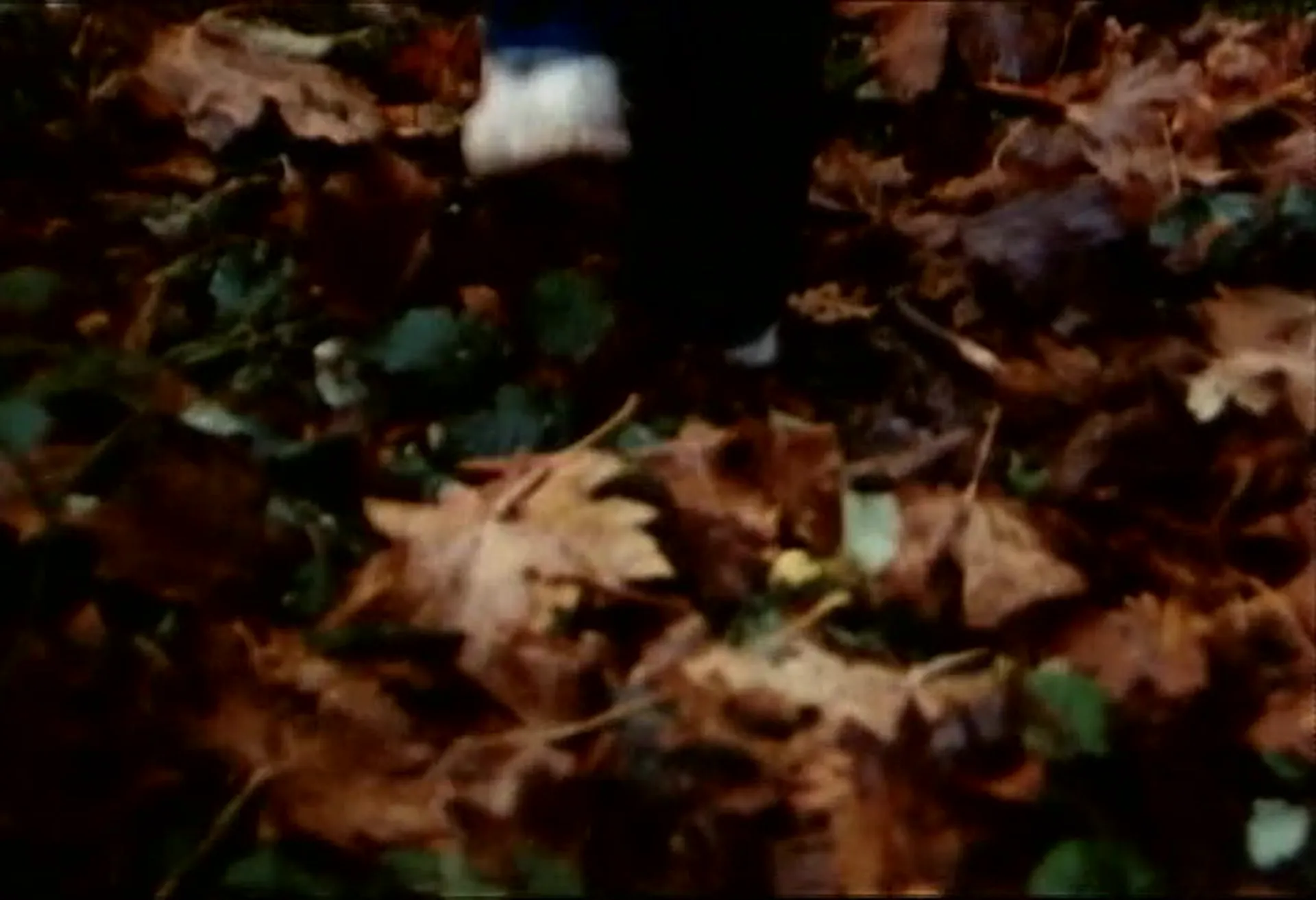 Unhinged scene still 6