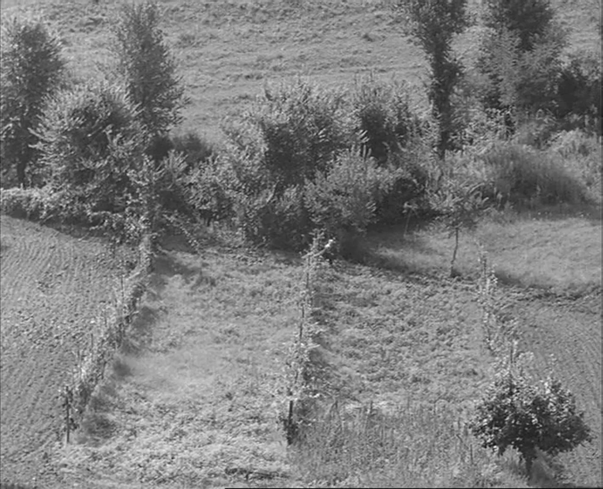 Altri tempi scene still 3