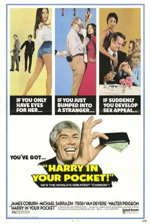 Harry in Your Pocket (1973) Movie Poster - SassyFlix