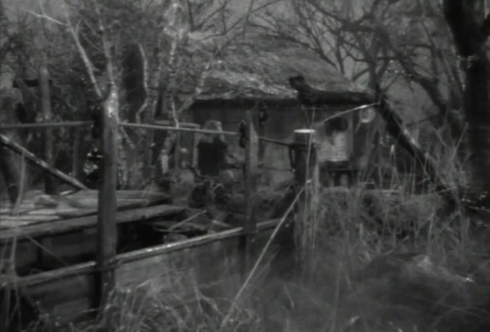 Strangler of the Swamp scene still 4