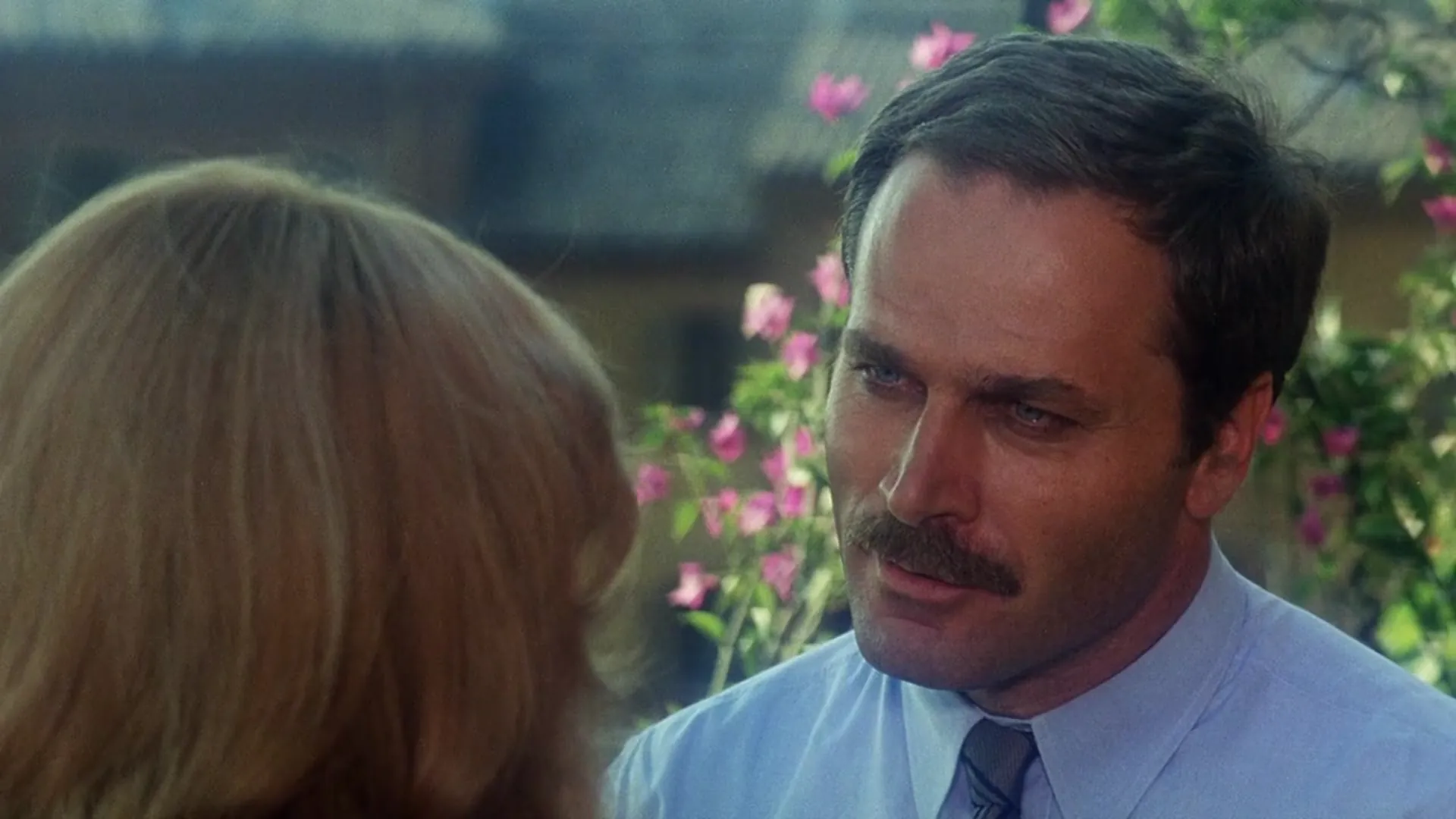 The Salamander scene still 1