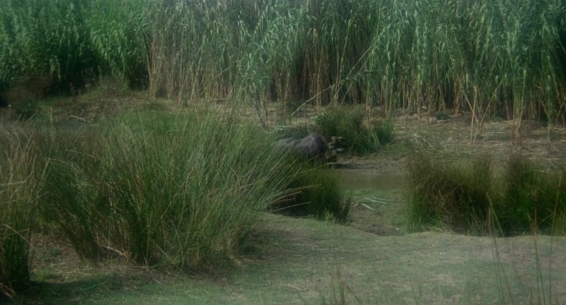 The Coming of Sin scene still 6