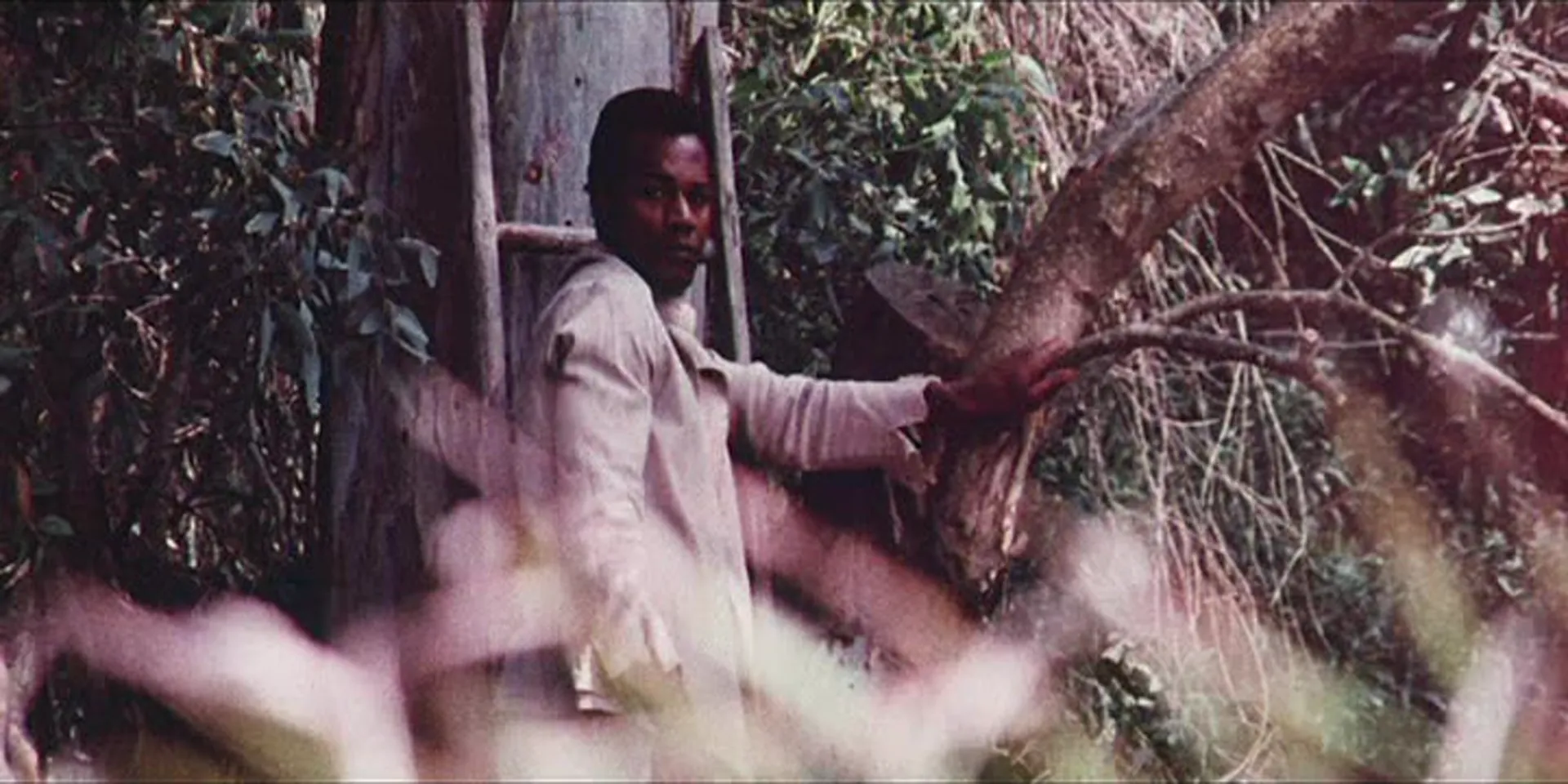 Passion Plantation scene still 1