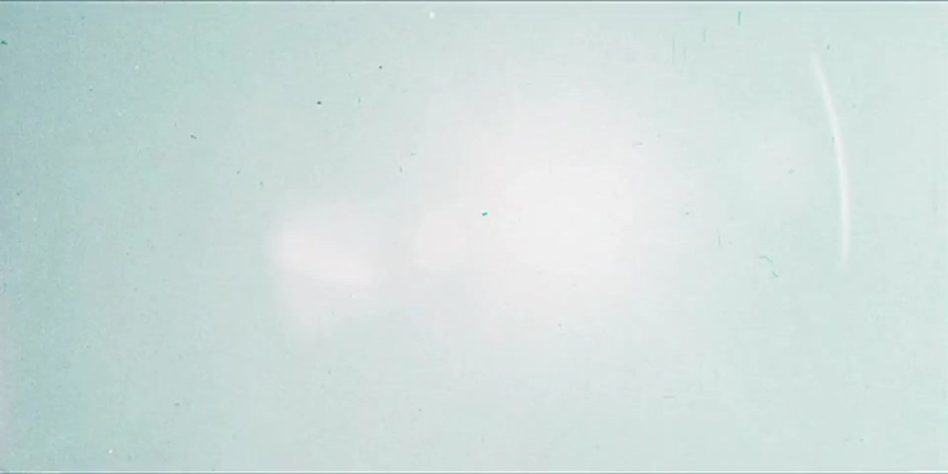 Passion Plantation scene still 2