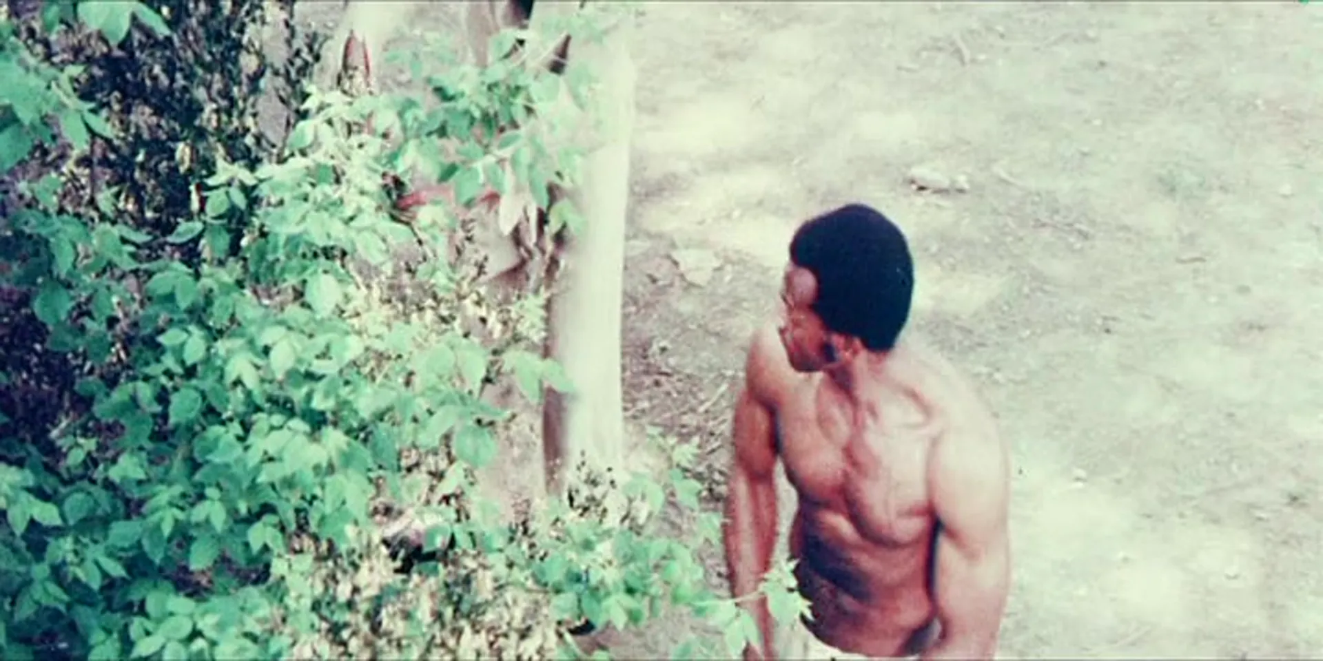 Passion Plantation scene still 10