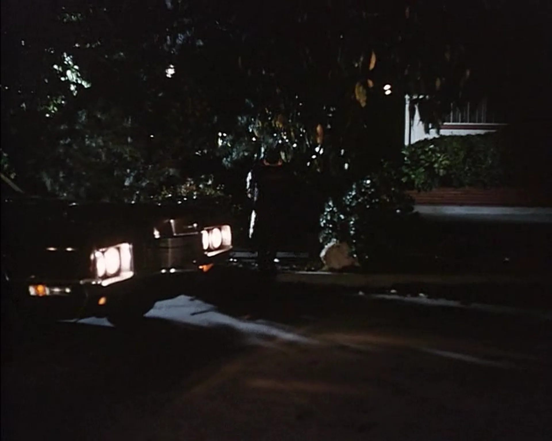 The Black Alley Cats scene still 6