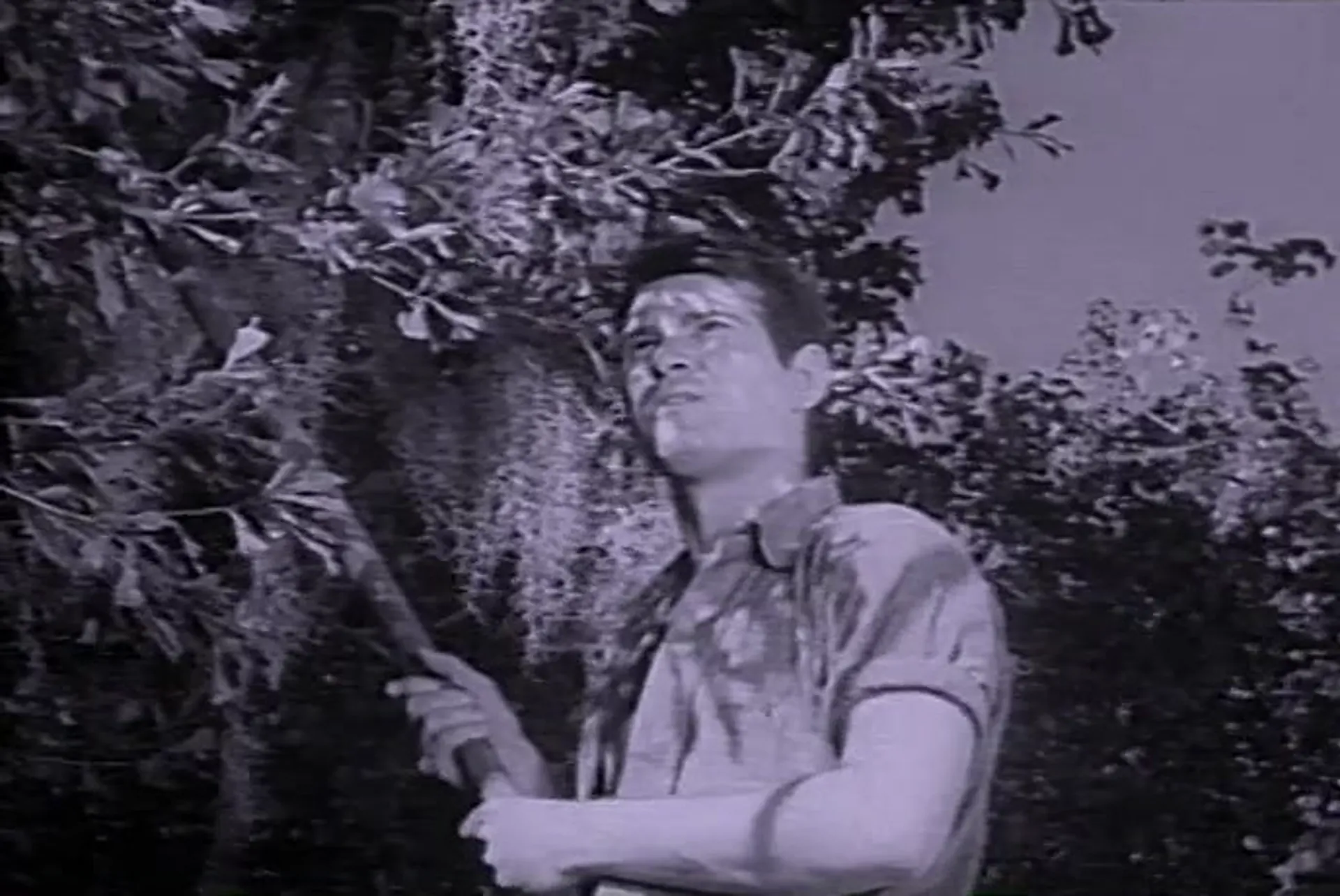 The Louisiana Hussy scene still 5