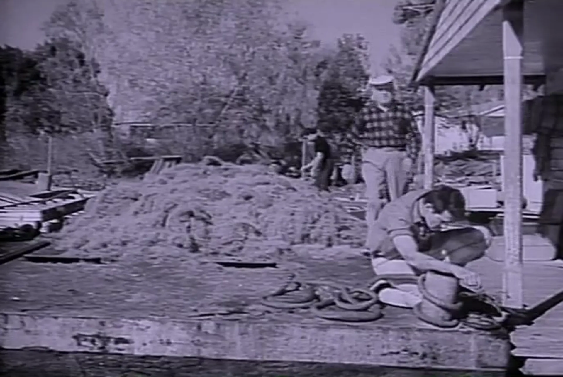 The Louisiana Hussy scene still 6