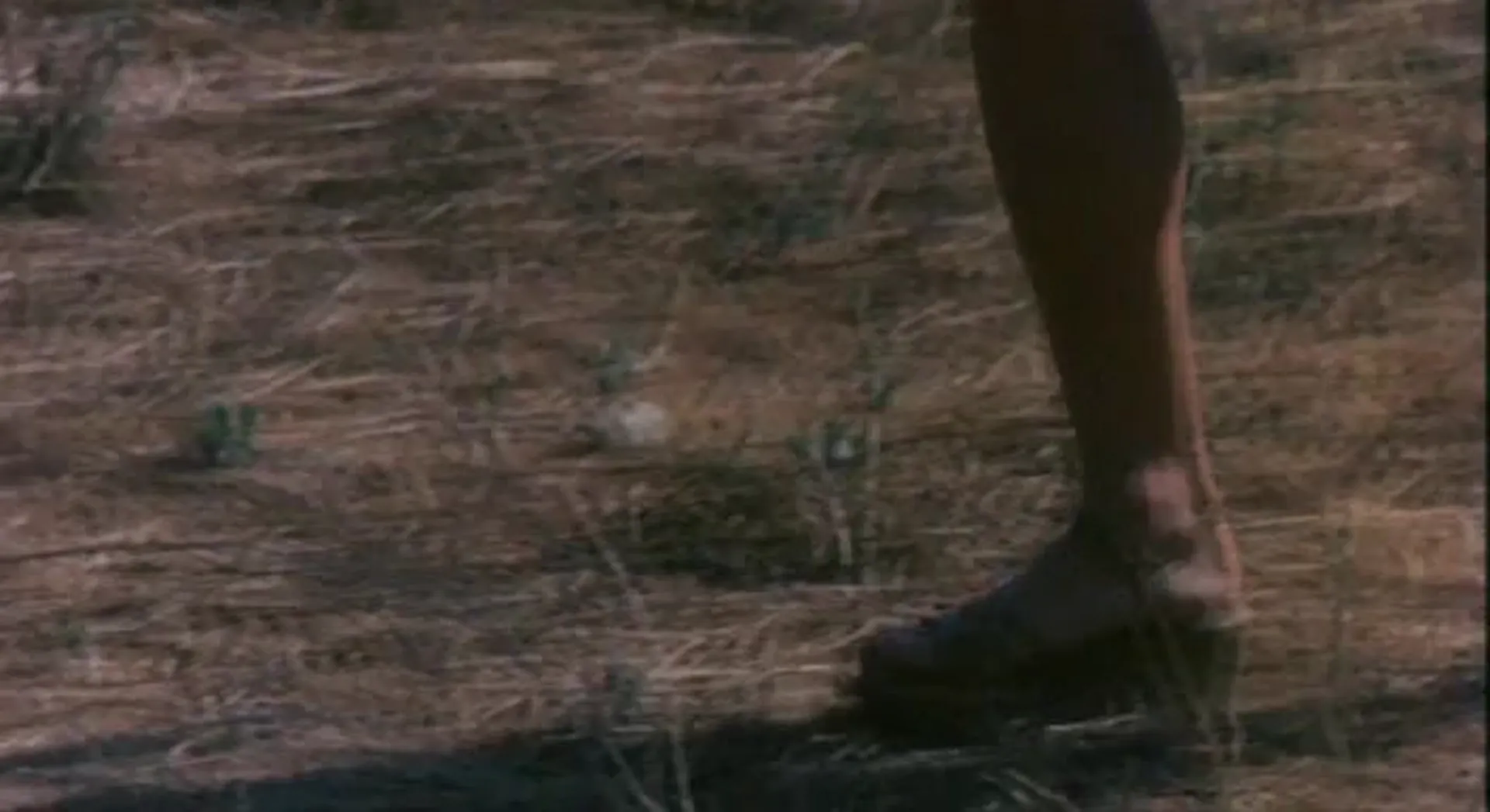 Don't Go Near the Park scene still 6