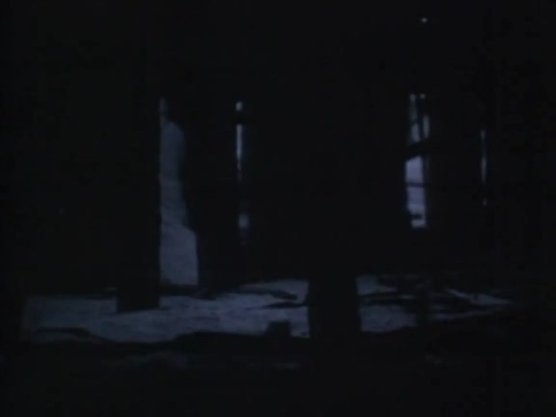 Meatcleaver Massacre scene still 4