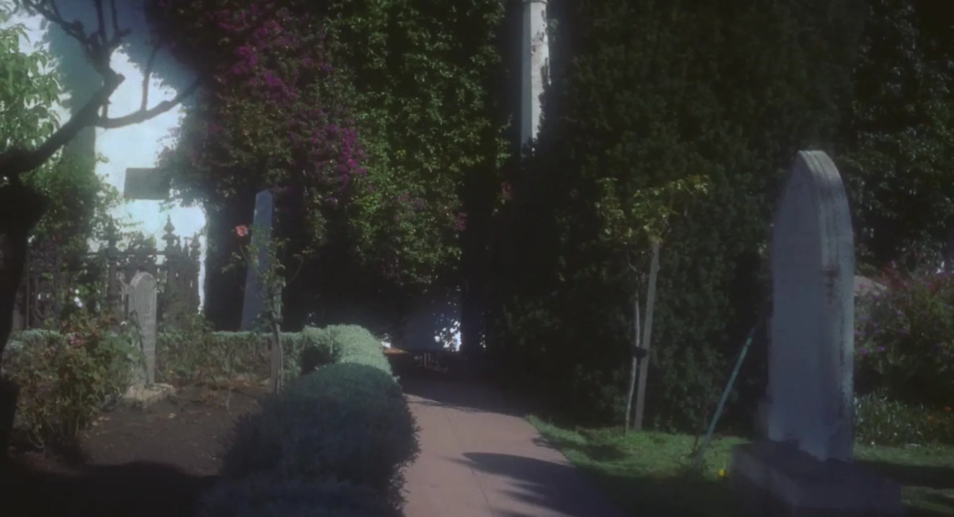 Vertigo scene still 2