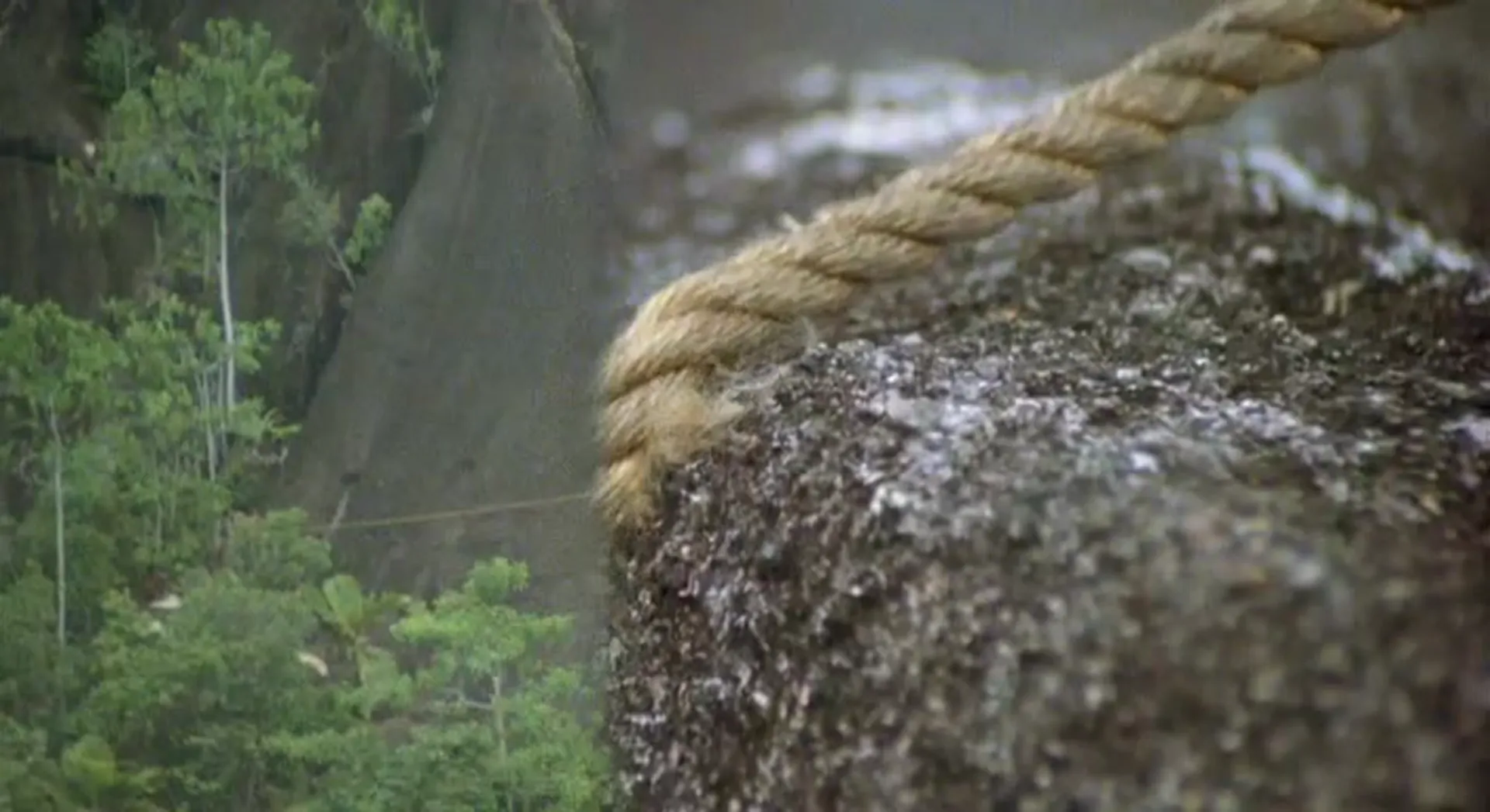 Tarzan, the Ape Man scene still 4