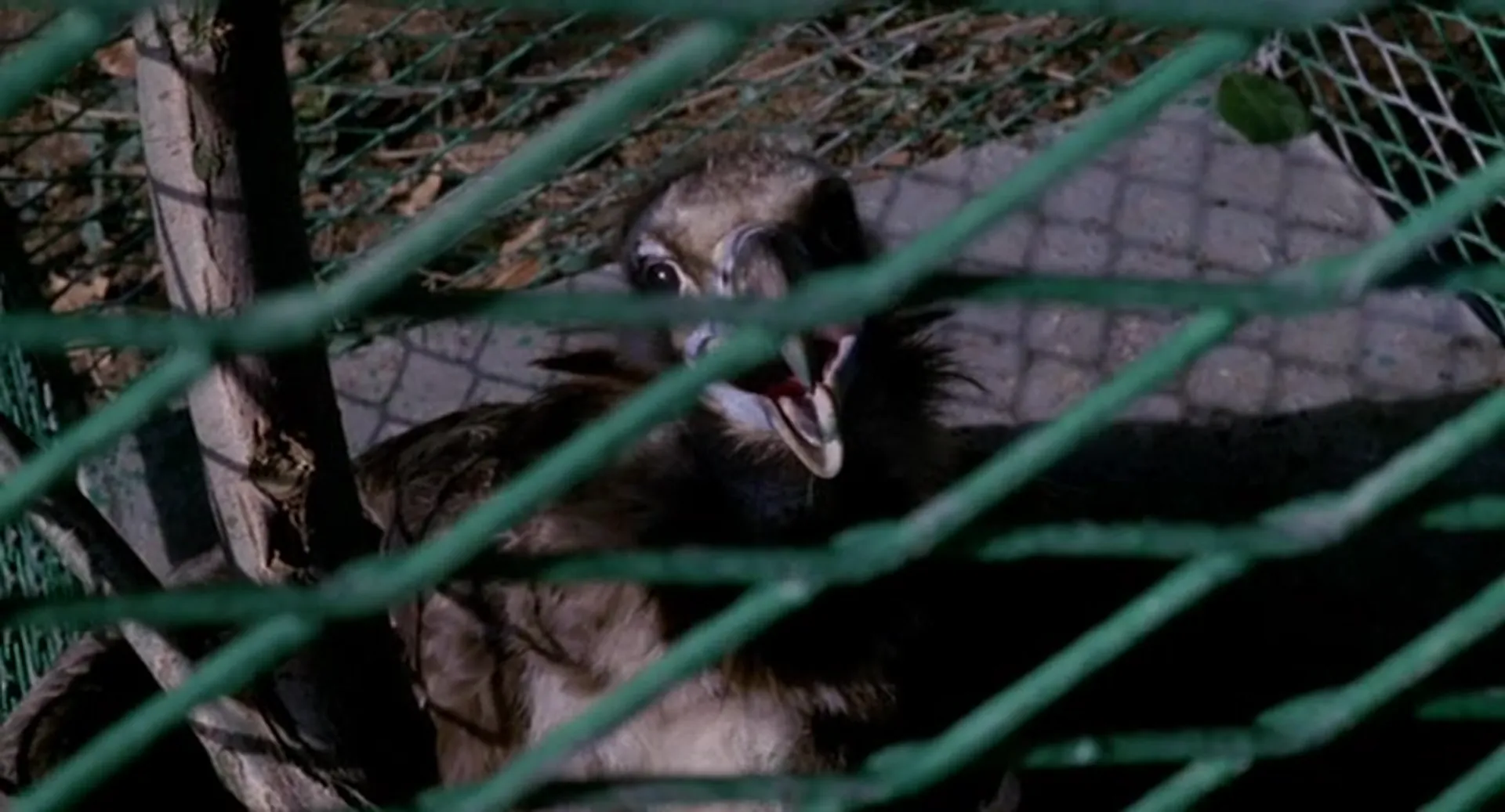 In the Folds of the Flesh scene still 2