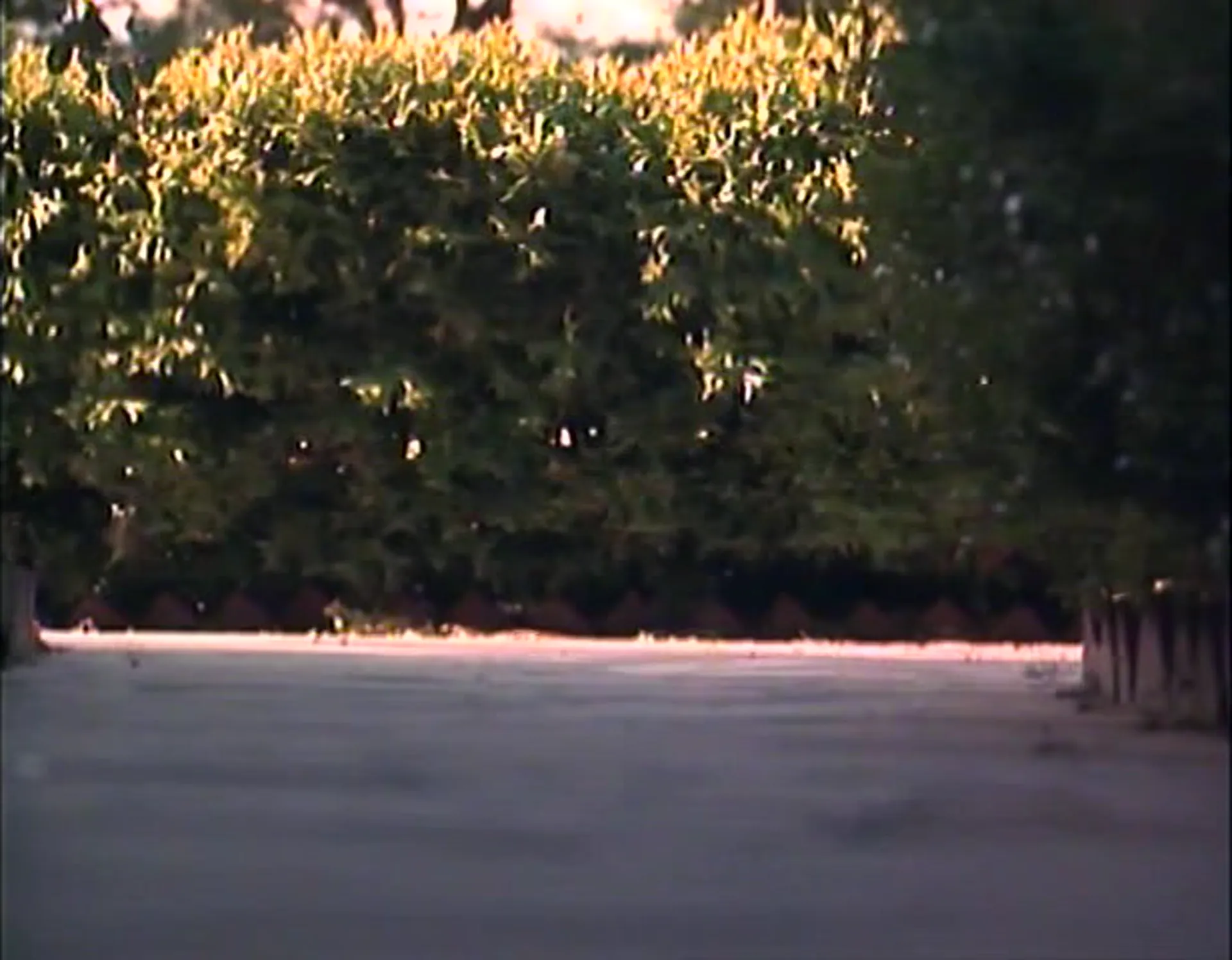 Night Life scene still 3