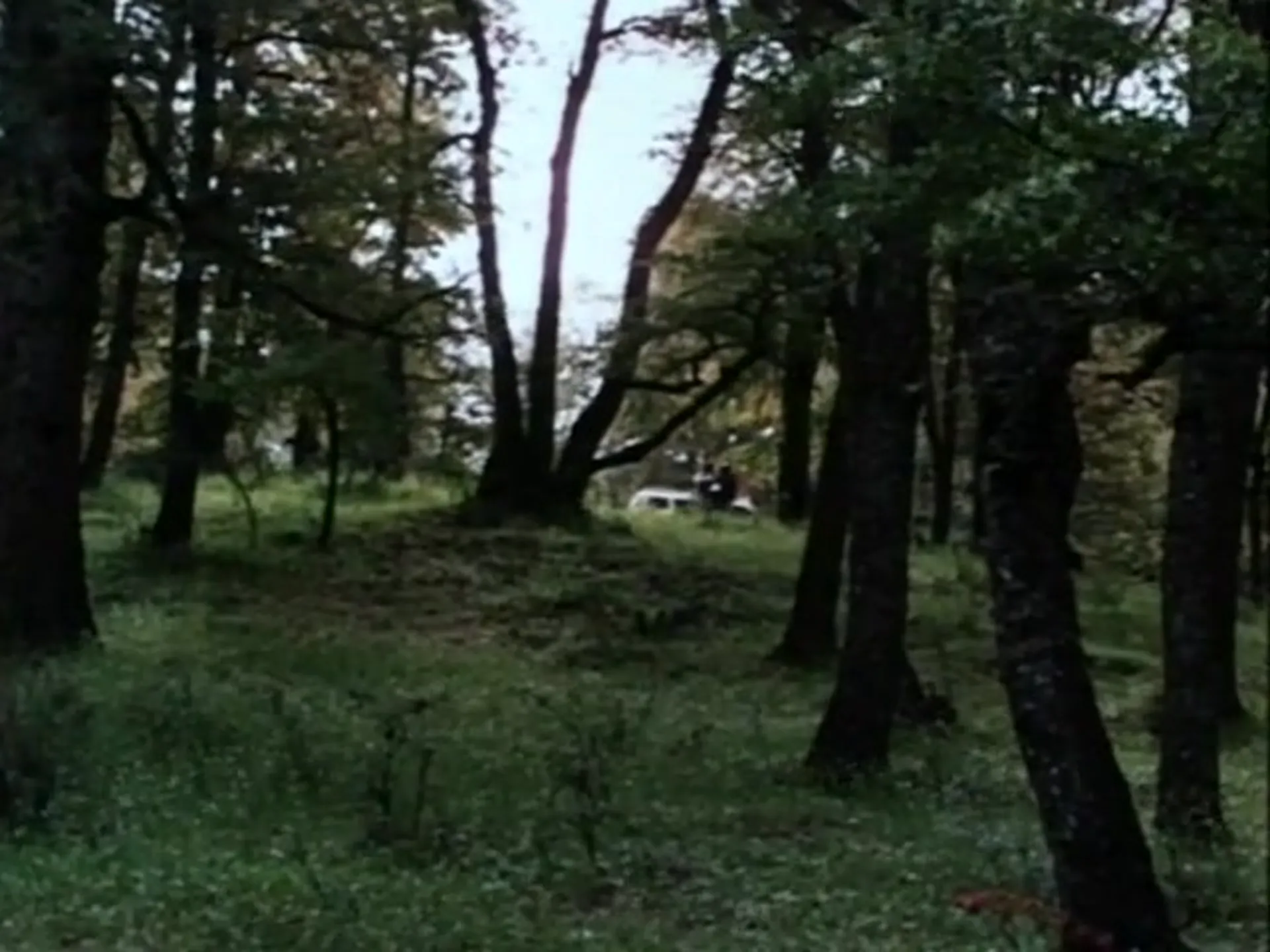 Fuego scene still 6