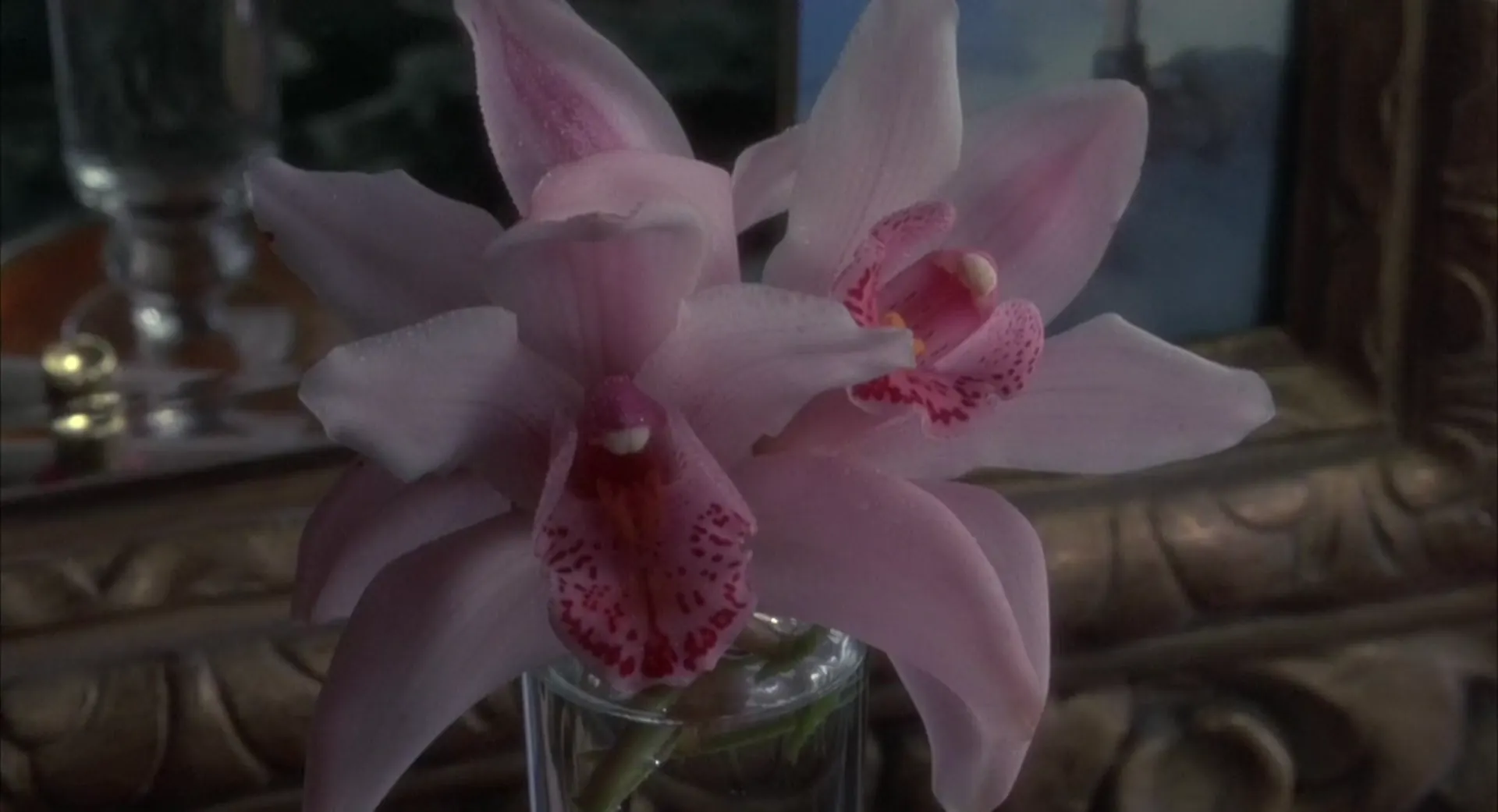Wild Orchid scene still 6