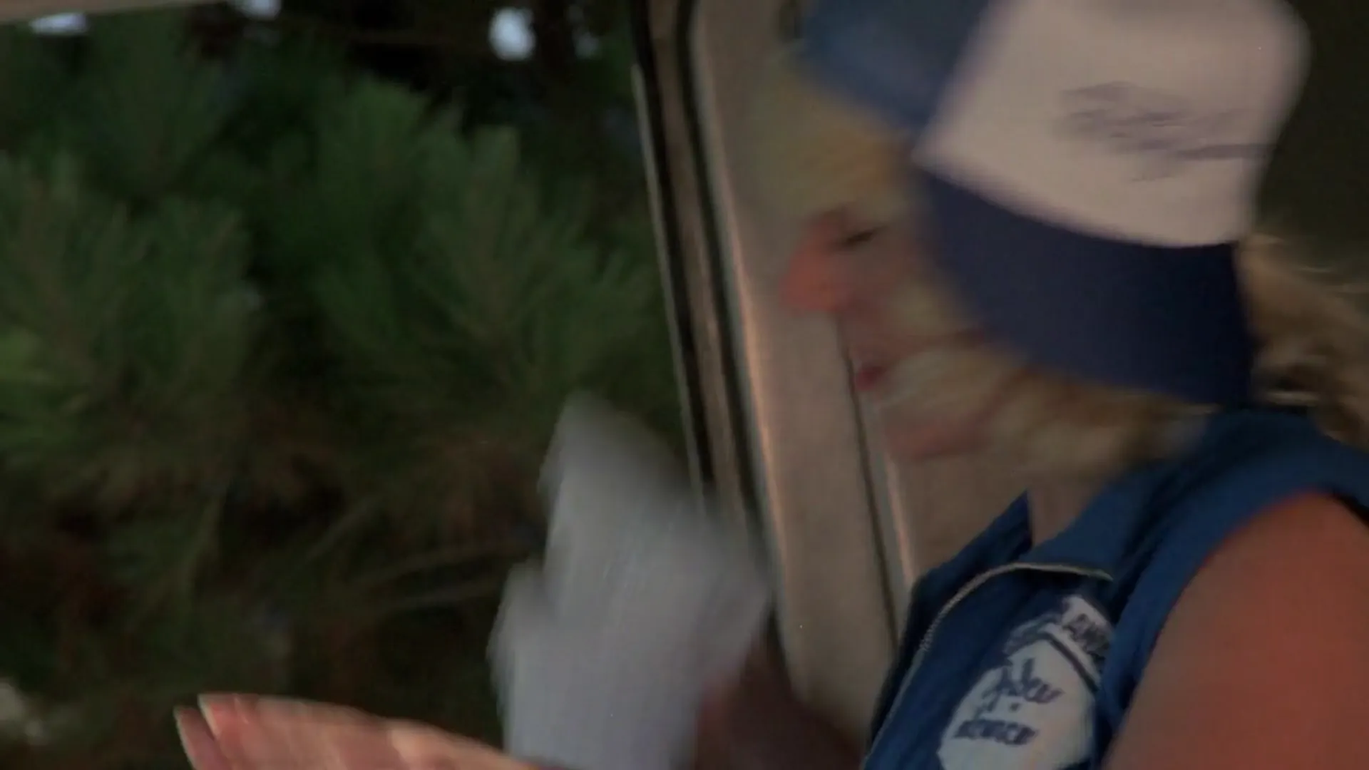The Beach Girls scene still 2