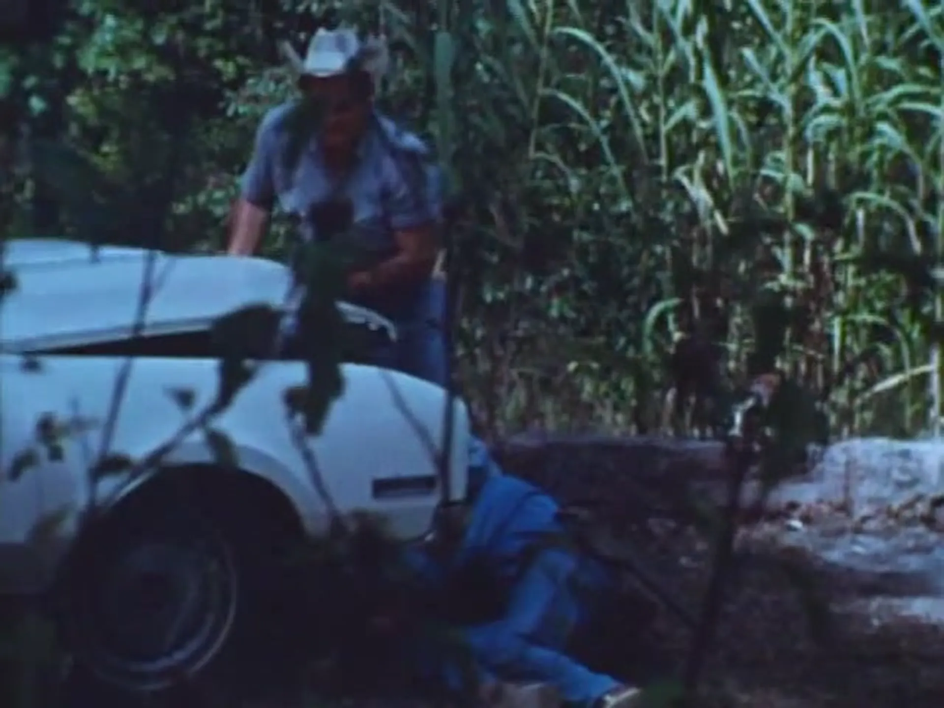 It's Alive! scene still 2