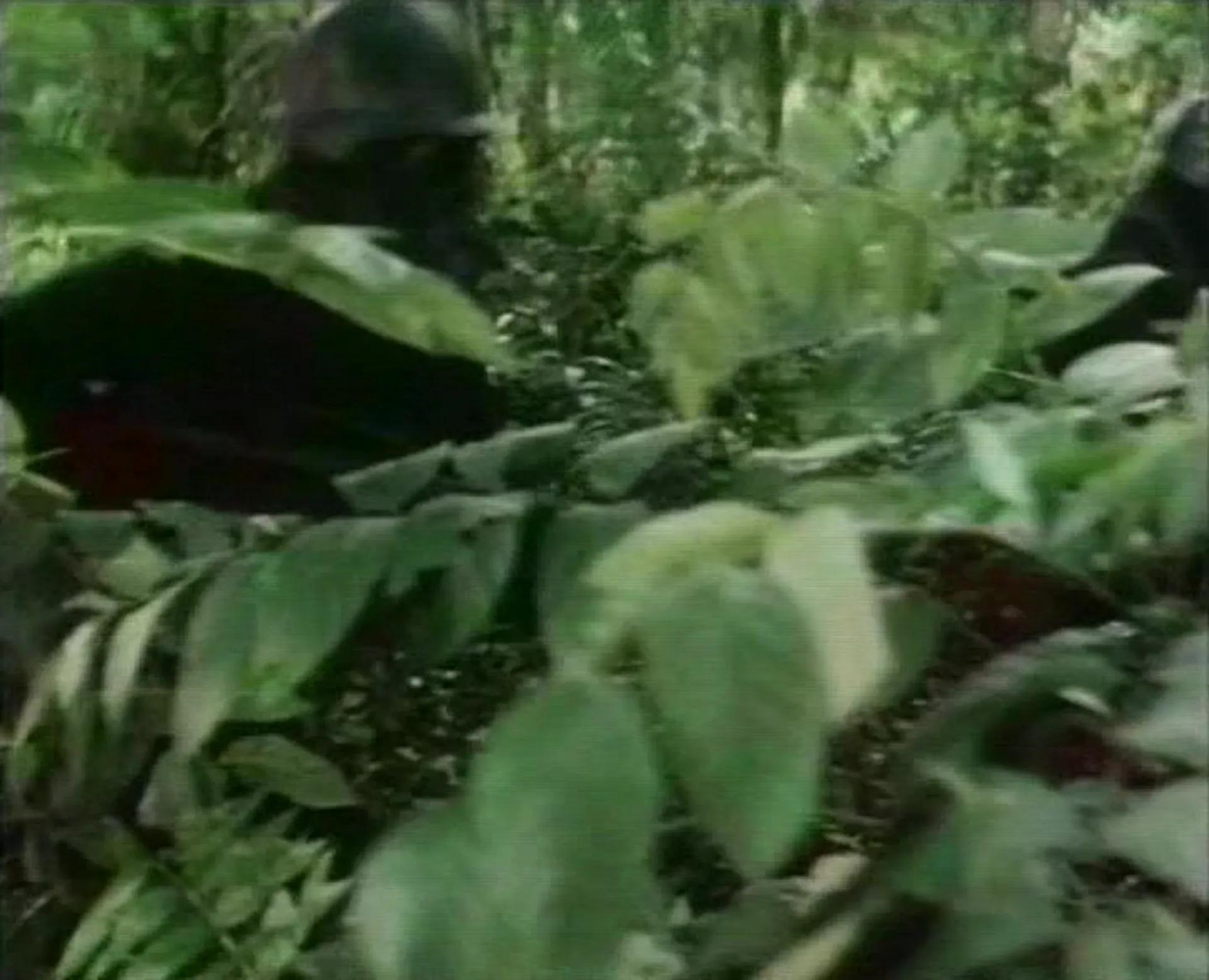 Phantom Soldiers scene still 4