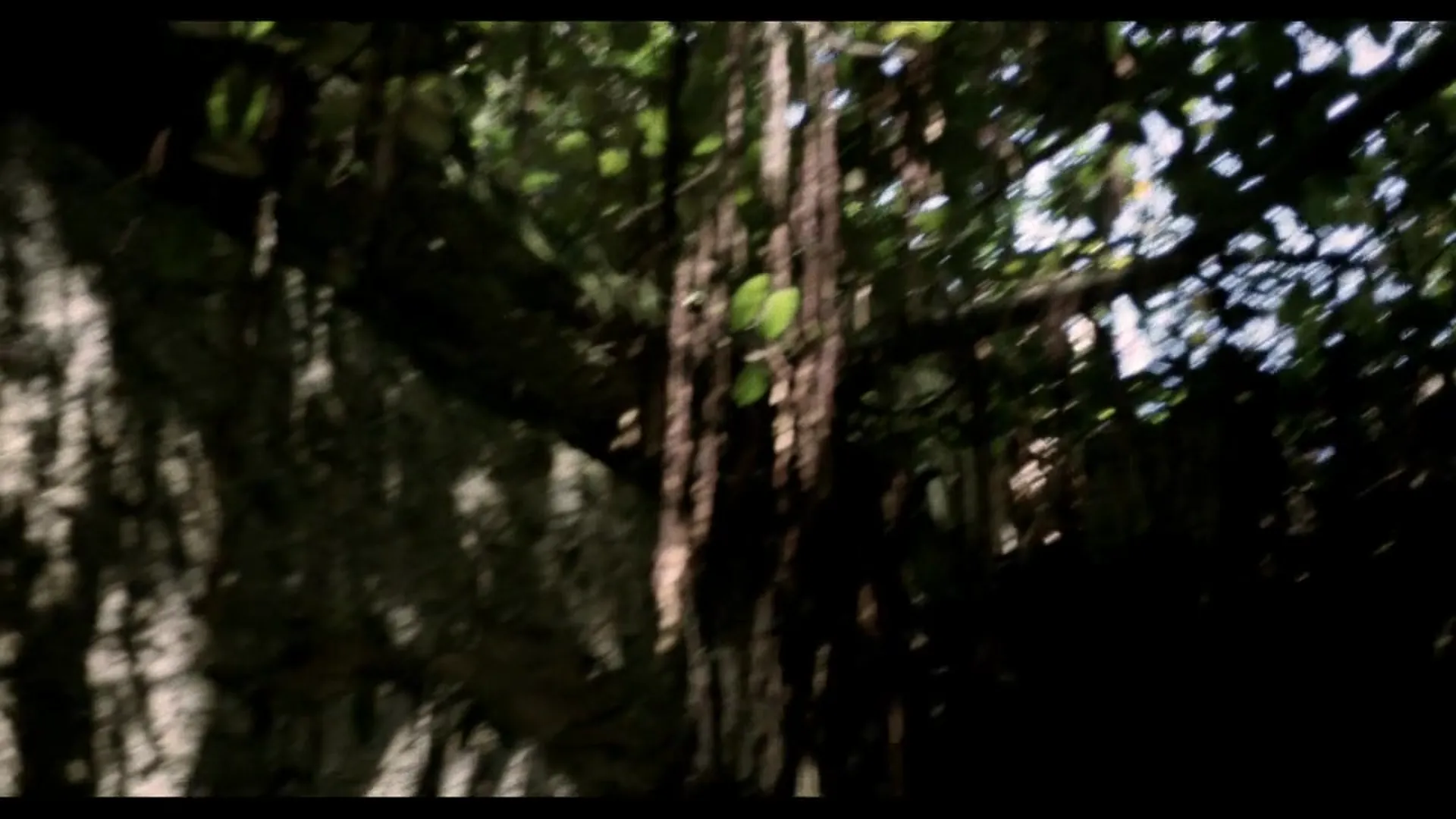 Voodoo Passion scene still 6