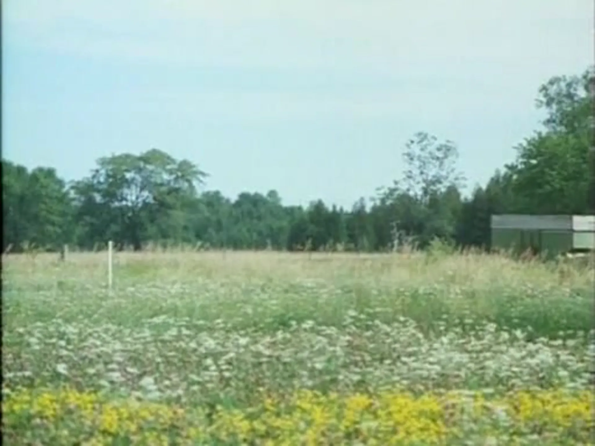 Oddballs scene still 5