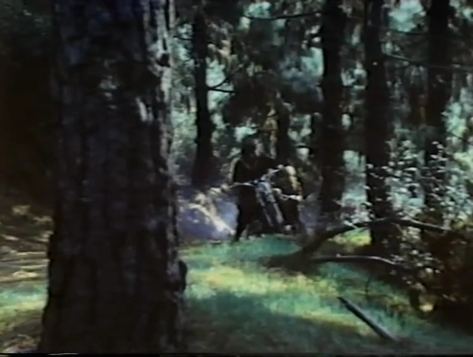 Bigfoot scene still 6